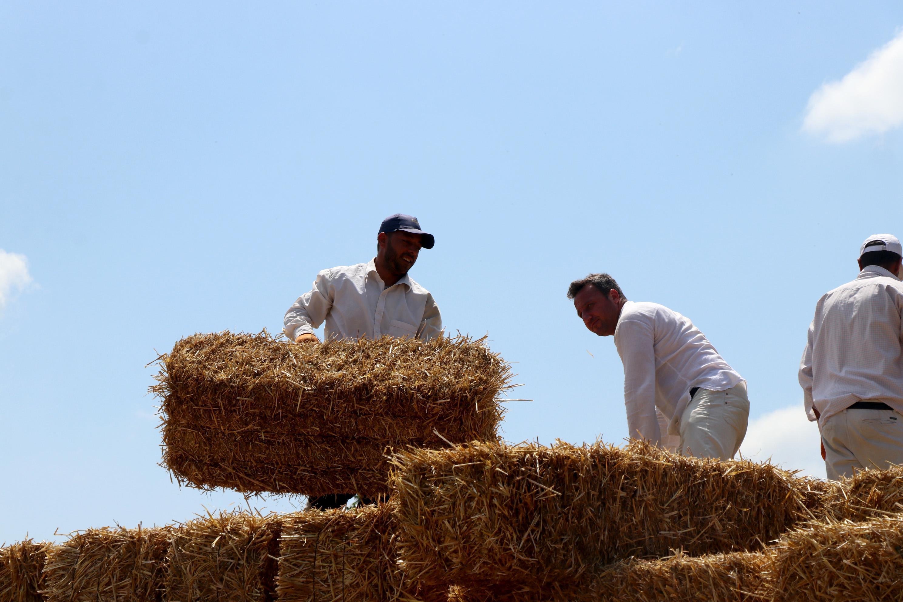Müdür ve veliler, okul ve öğrencilerin ihtiyaçları için saman balyası taşıdı
