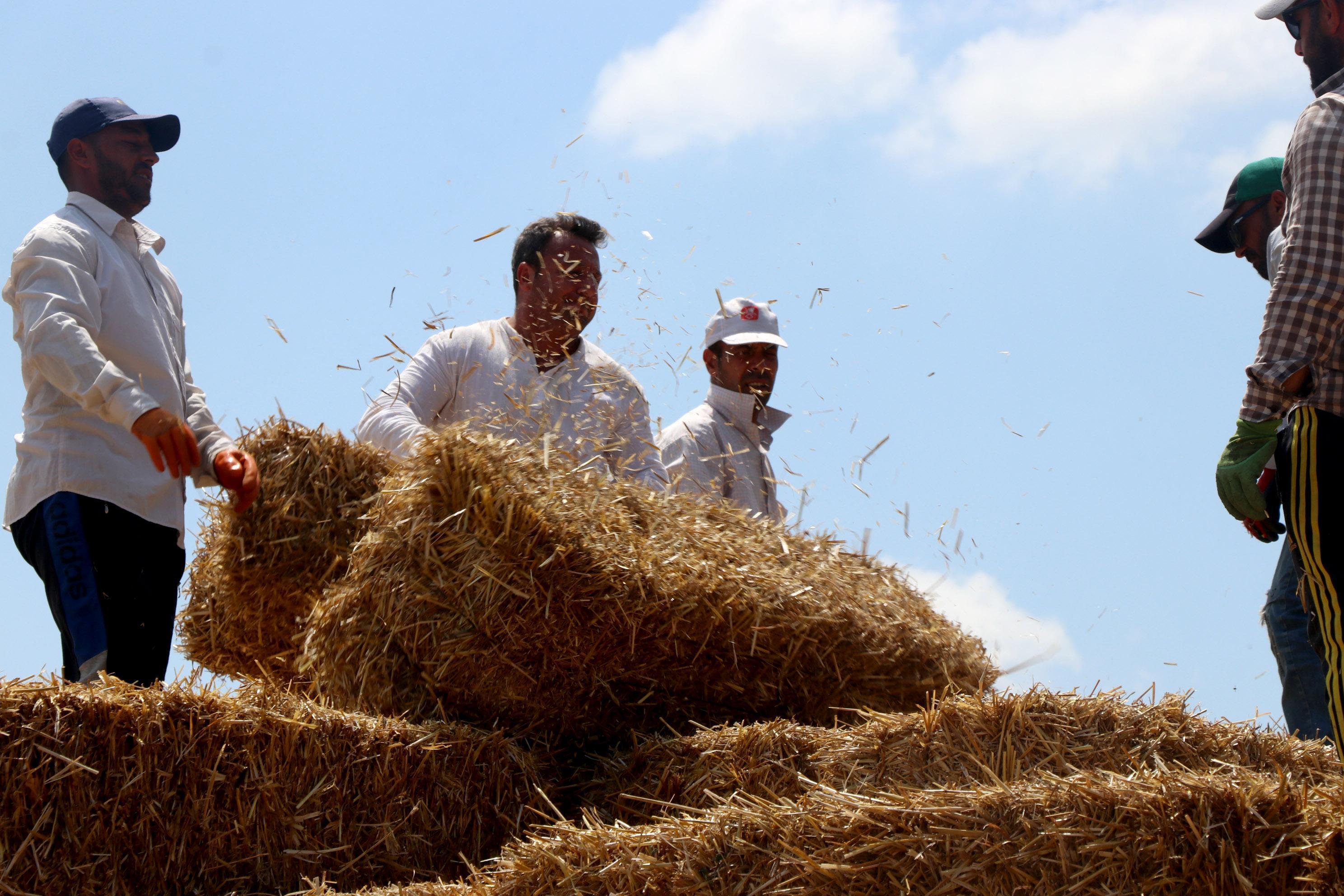 Müdür ve veliler, okul ve öğrencilerin ihtiyaçları için saman balyası taşıdı