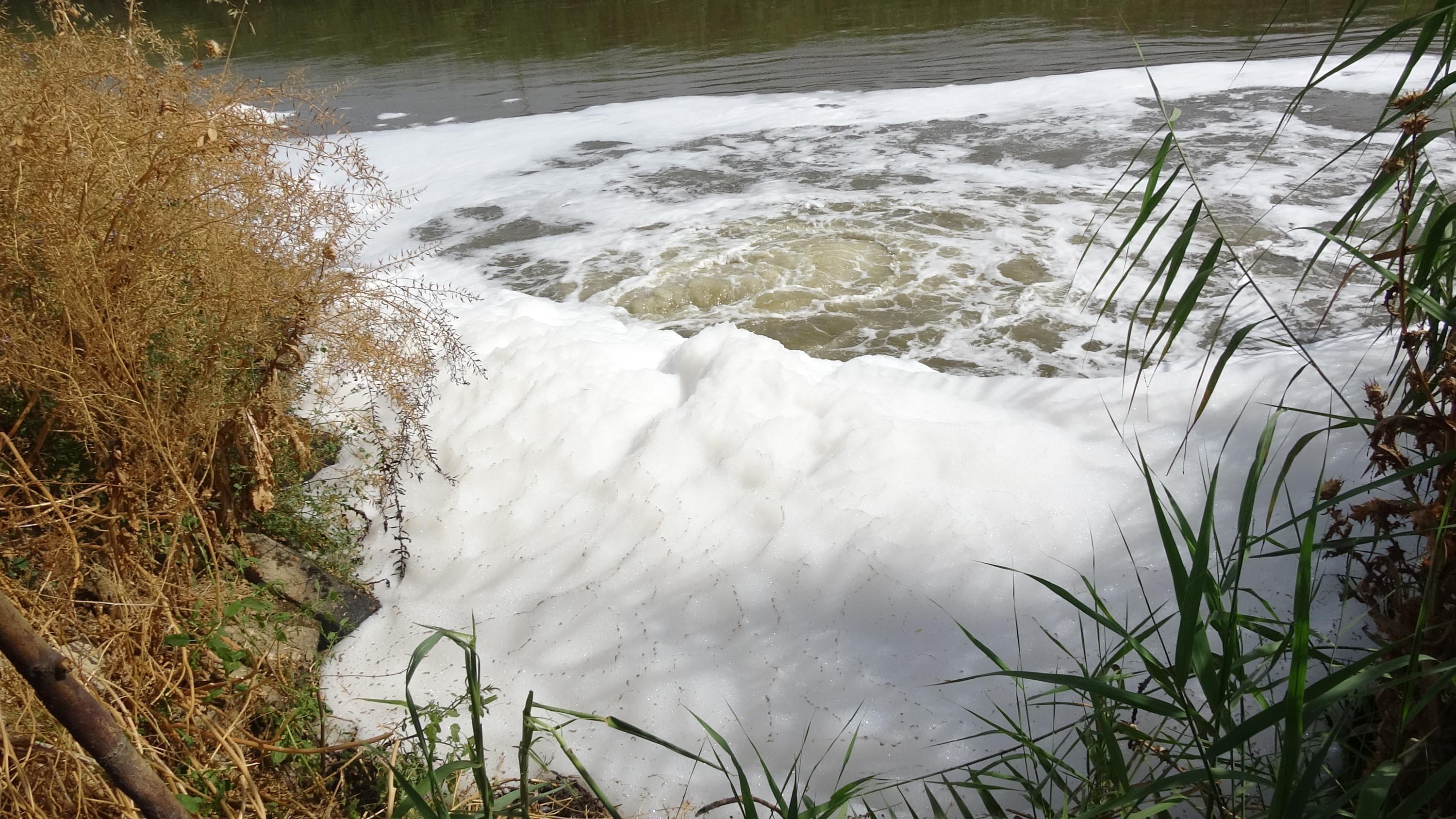 Çevrecilerden, Menderes için tehlike kapıda uyarısı