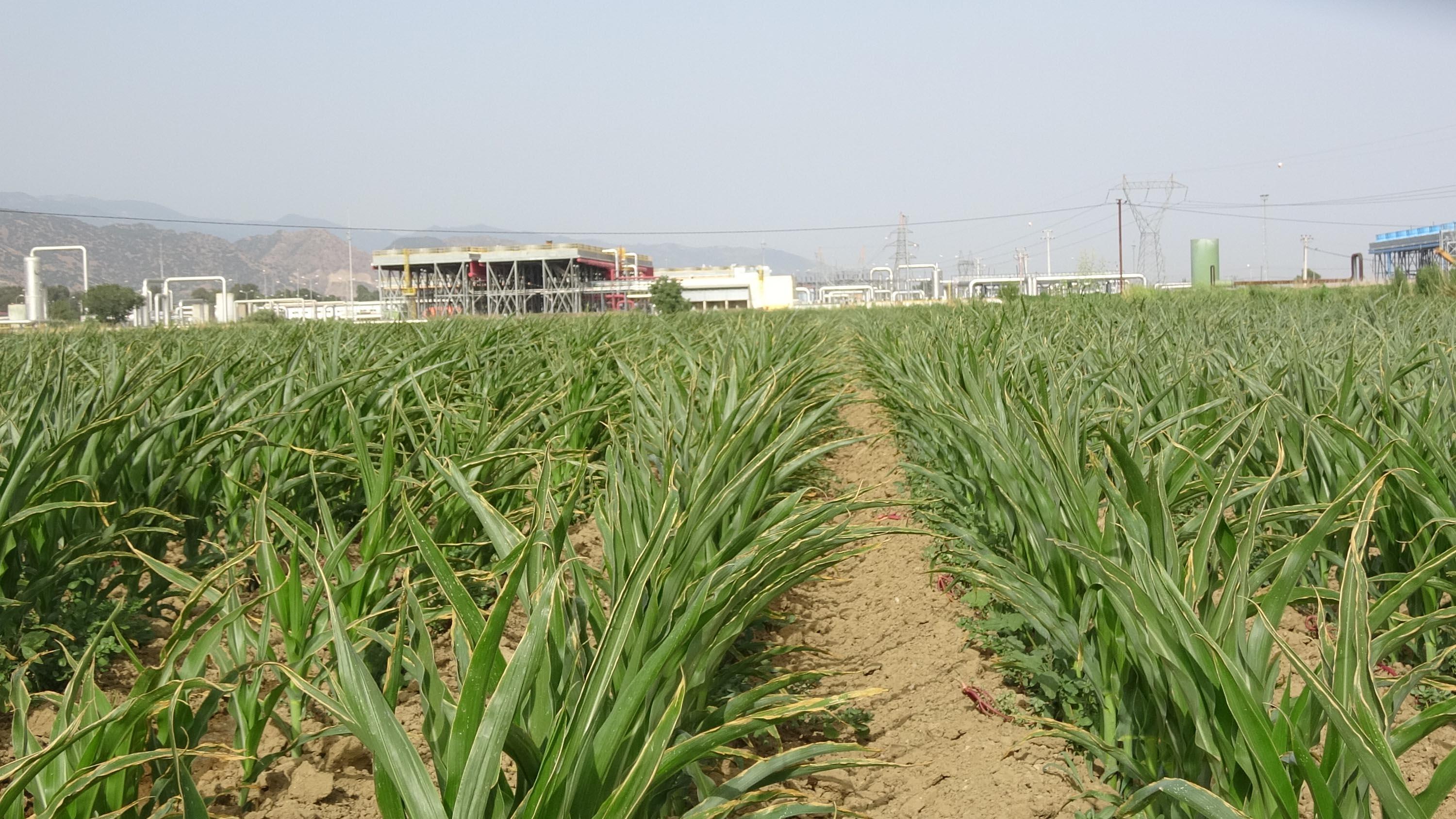 Çevrecilerden, Menderes için tehlike kapıda uyarısı