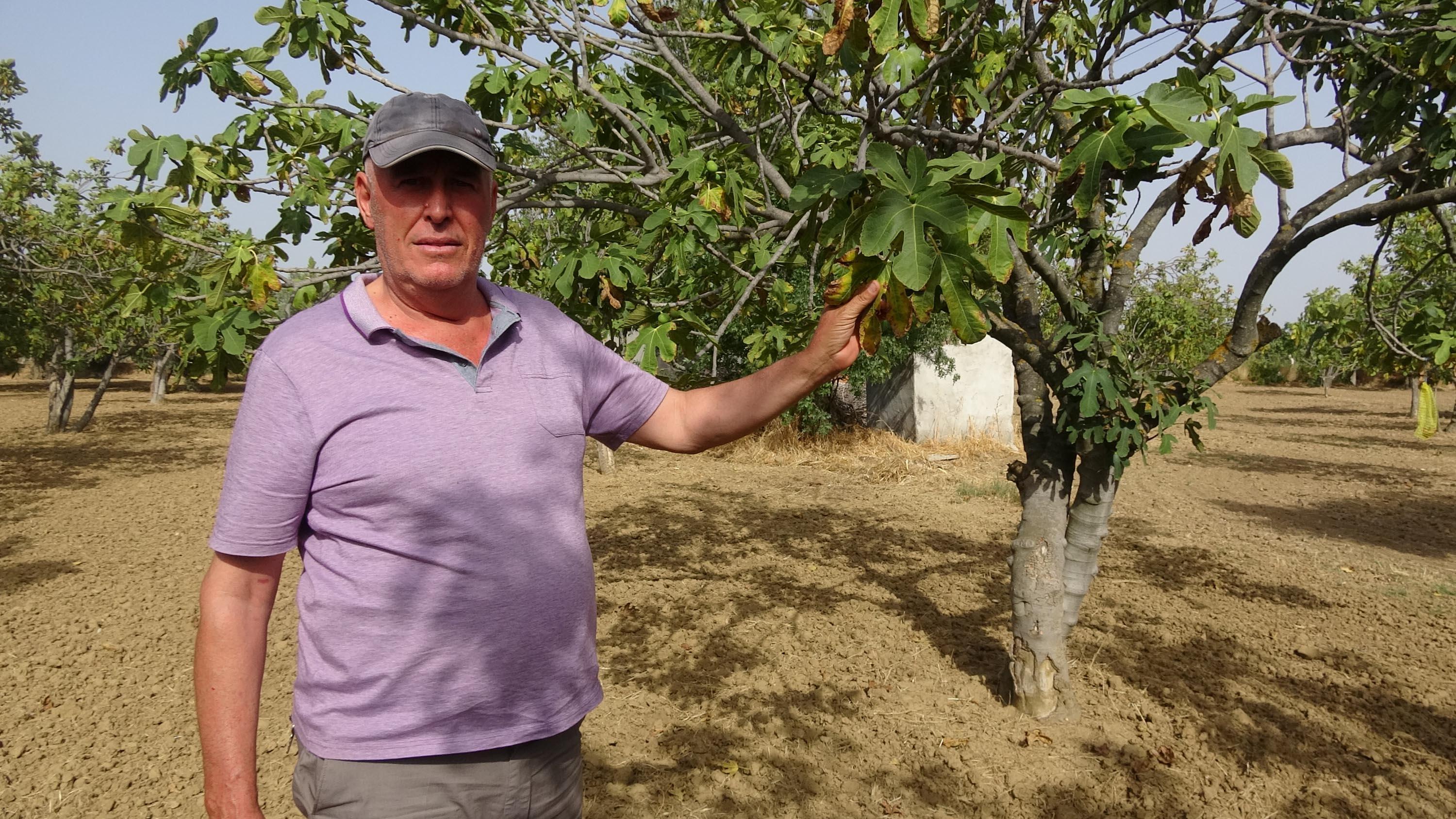 Çevrecilerden, Menderes için tehlike kapıda uyarısı