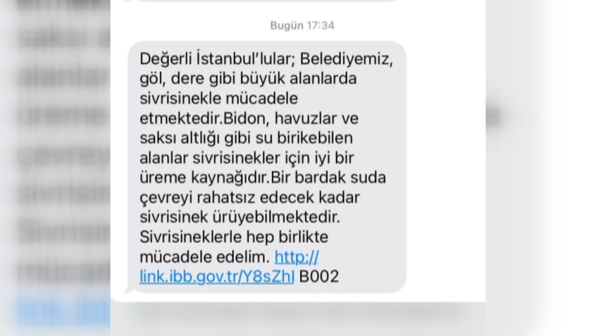 İstanbulda sivrisinek kabusu büyüyor; İBB SMS ile uyardı