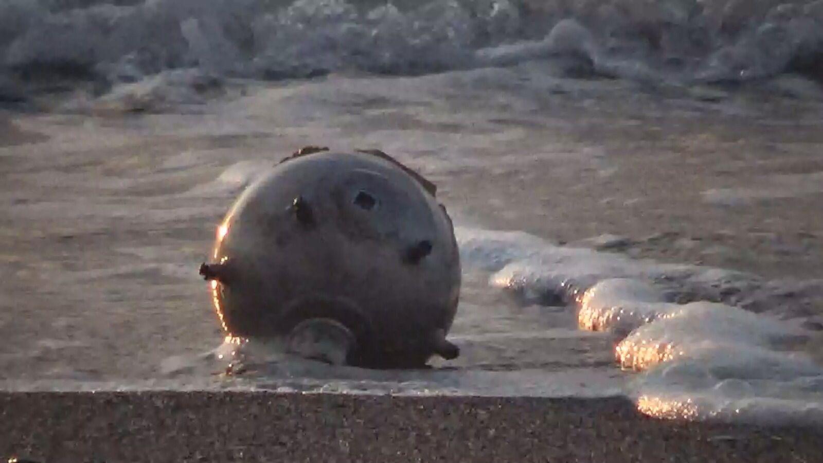 Düzcede kıyıya mayın tetikleyicisi vurdu, polis alarma geçti