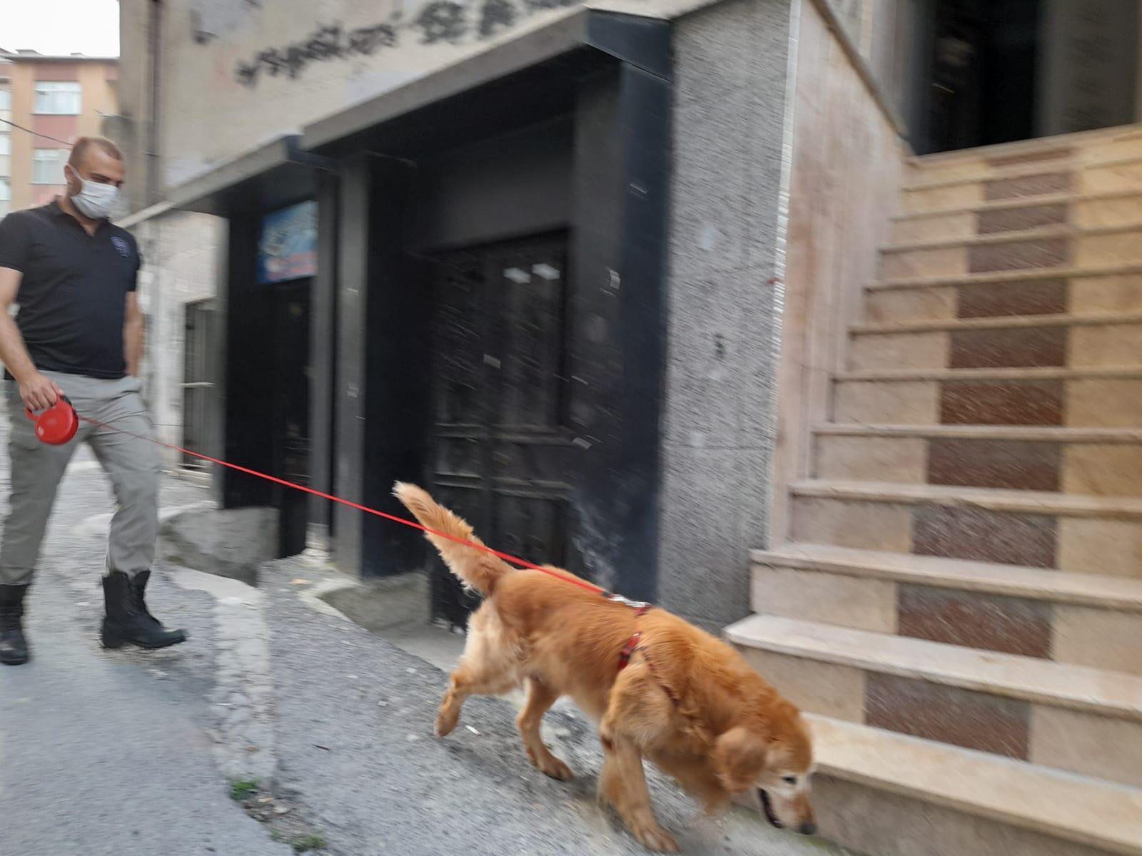 İstanbulda uyuşturucu operasyonu: Çok sayıda şüpheliye gözaltı