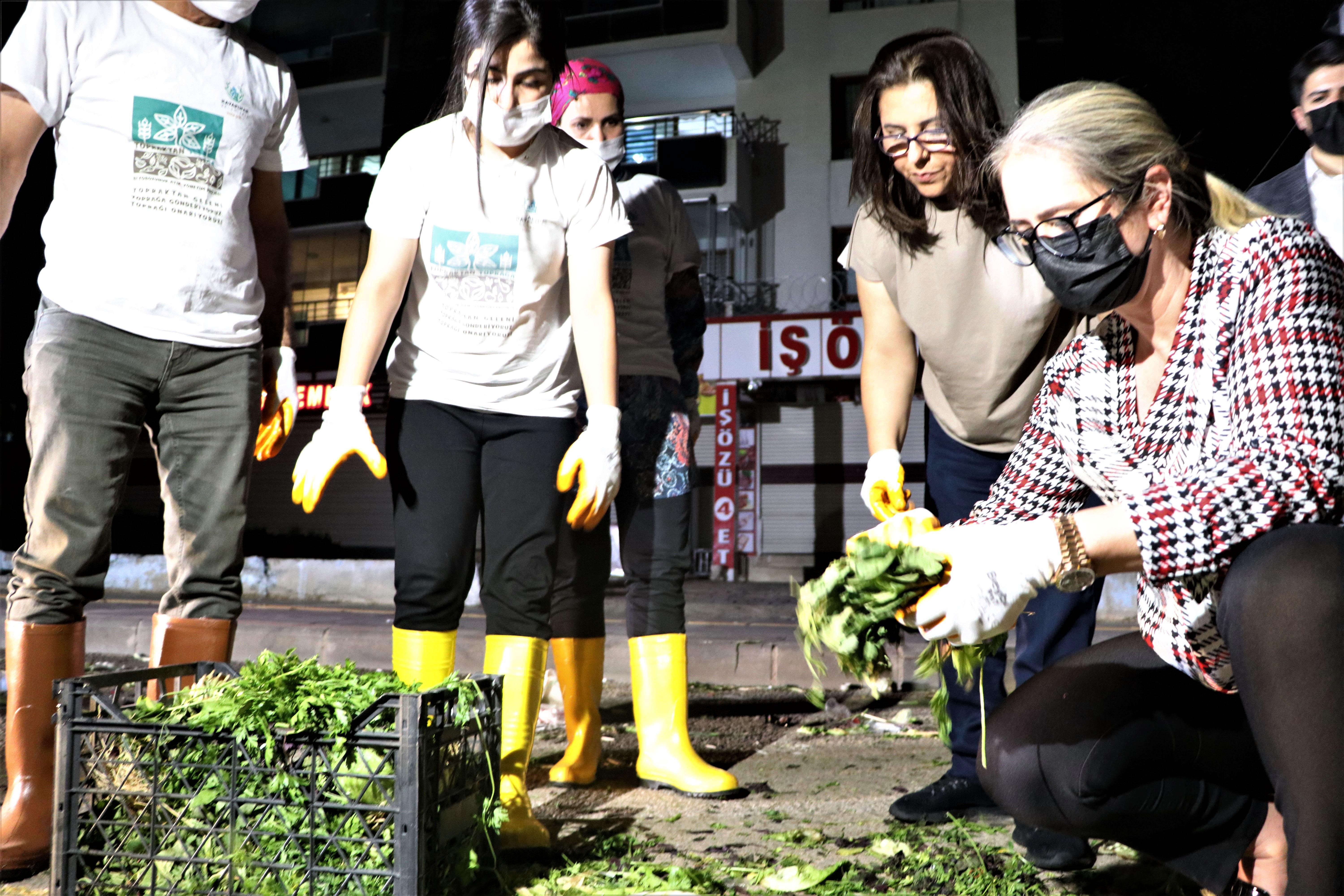 Topraktan Tabağa projesi, hem toprağı onarıyor hem de istihdam sağlıyor
