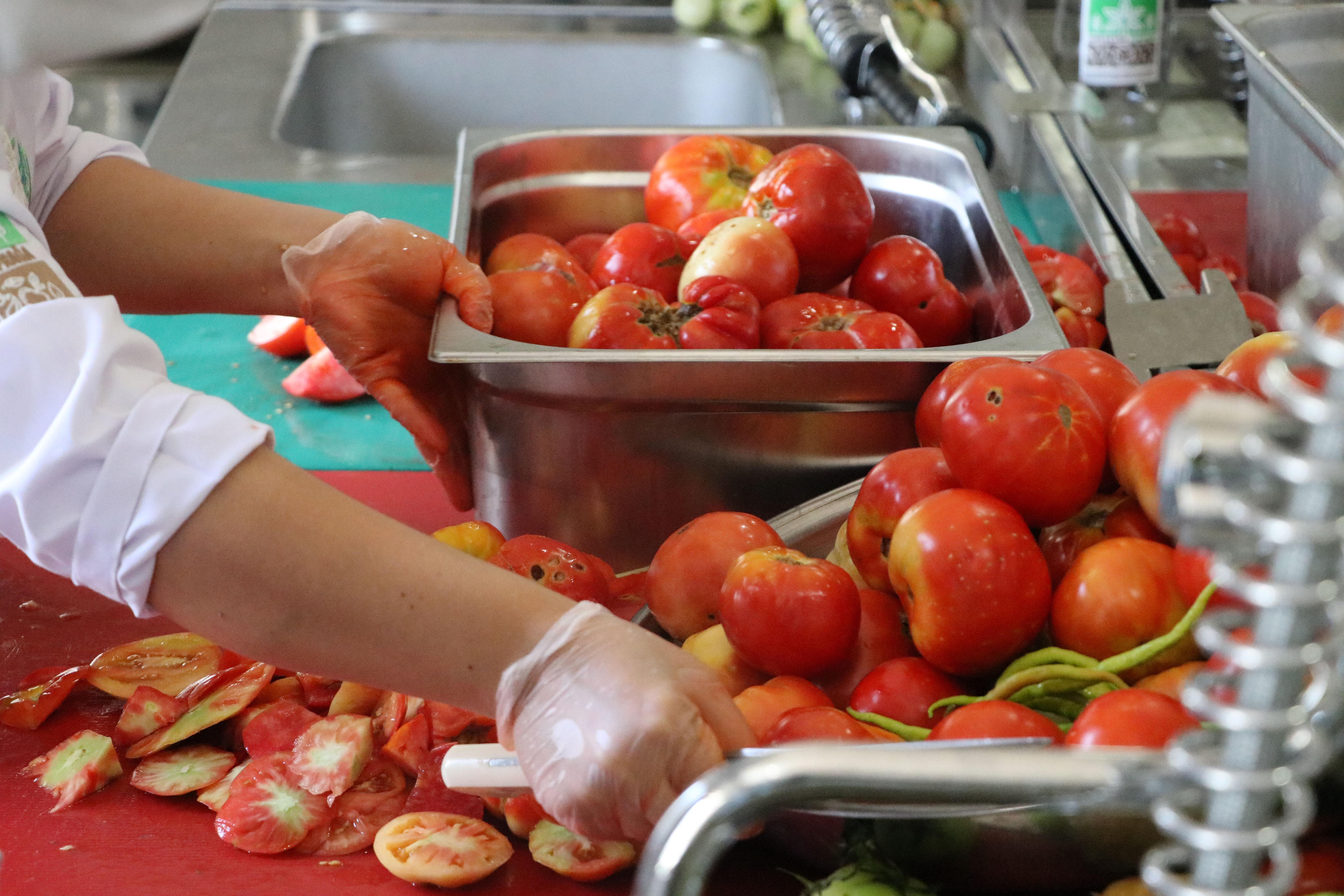 Topraktan Tabağa projesi, hem toprağı onarıyor hem de istihdam sağlıyor