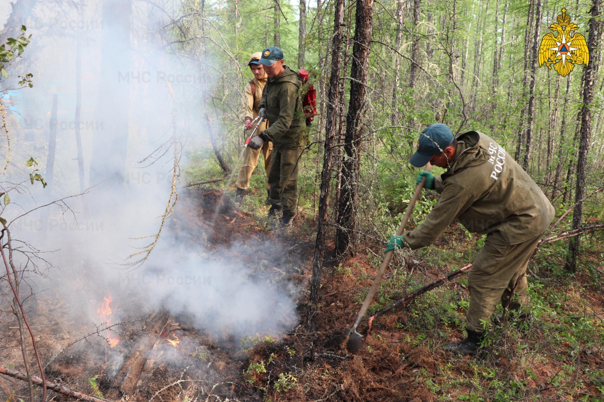 ABDden sonra Rusya da orman yangınlarıyla mücadele ediyor