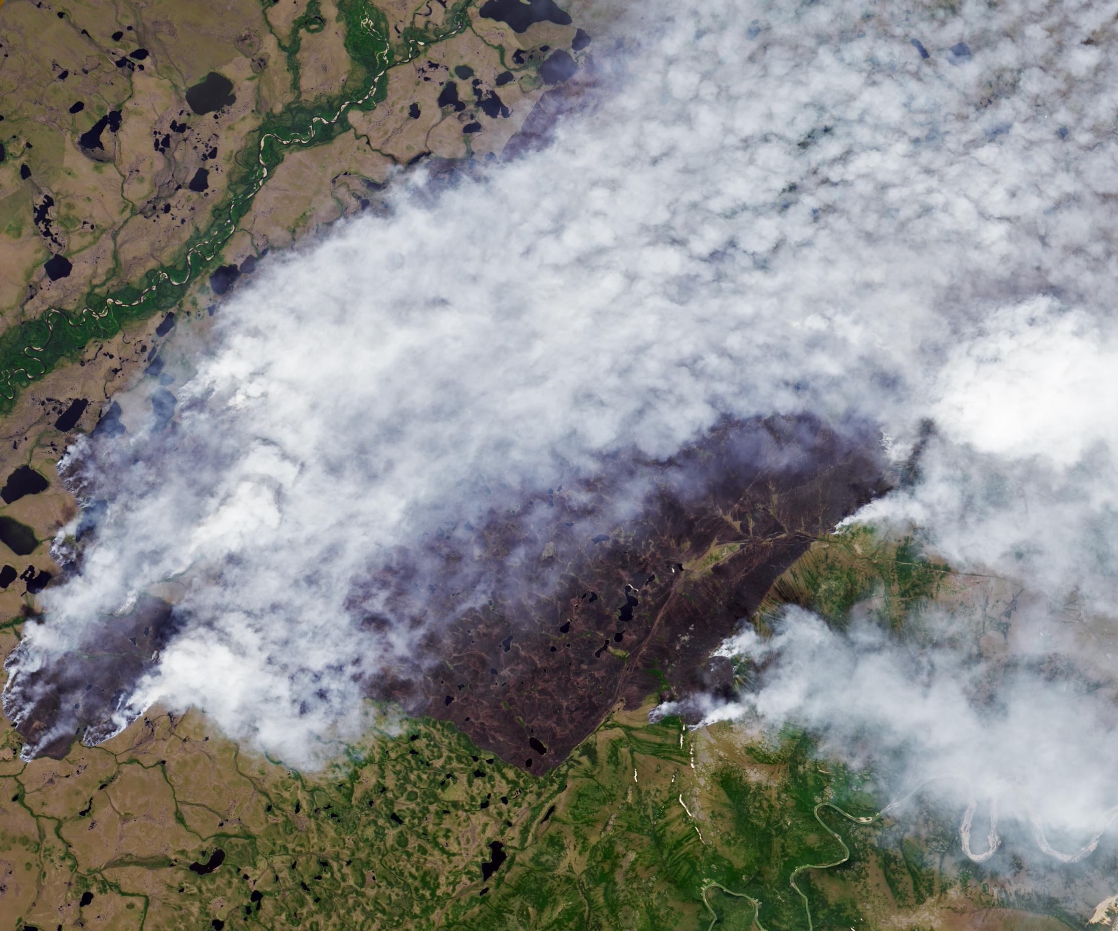 ABDden sonra Rusya da orman yangınlarıyla mücadele ediyor