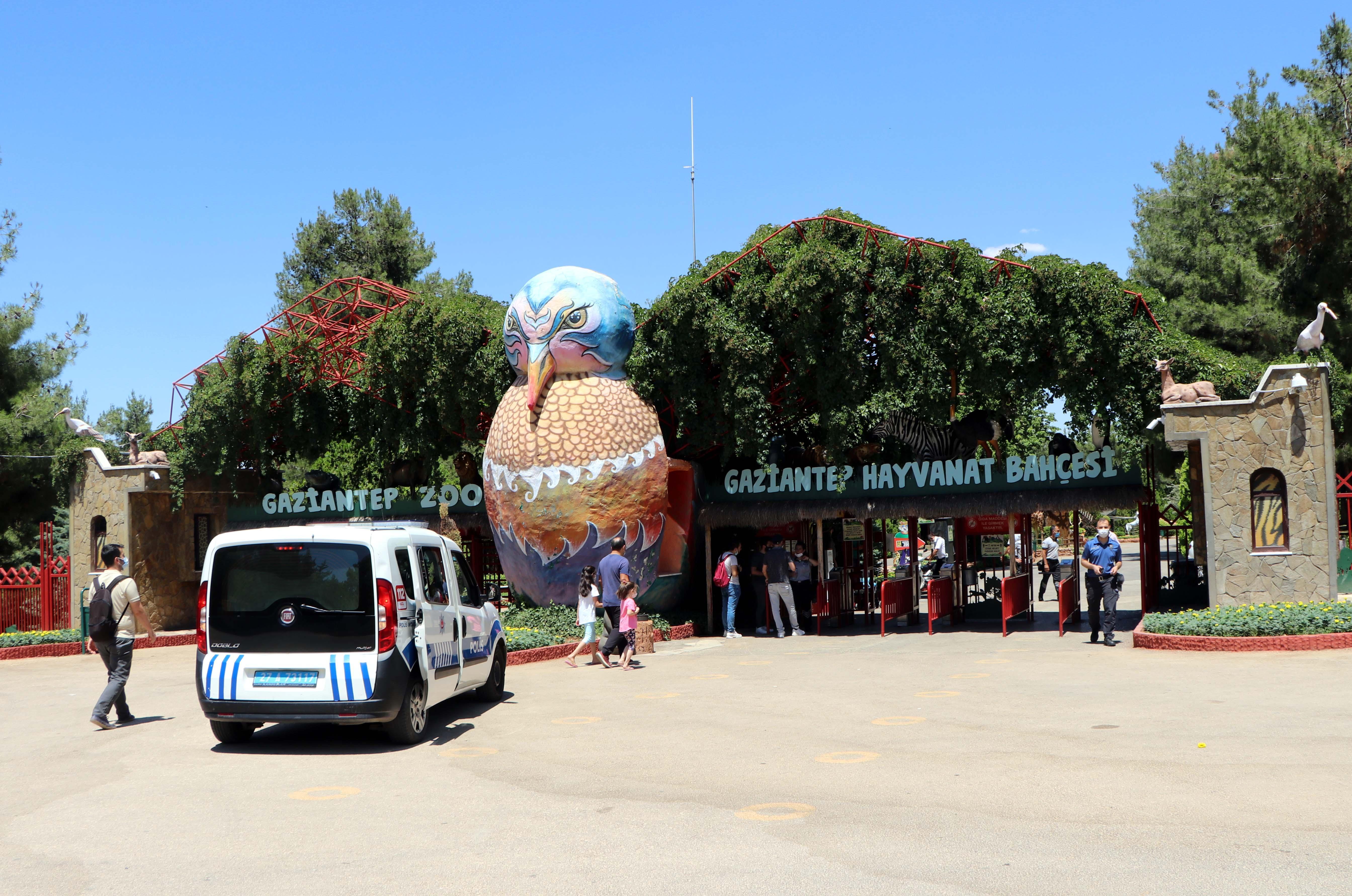 Bakıcısını yaralayıp kaçan aslan, paniğe neden oldu