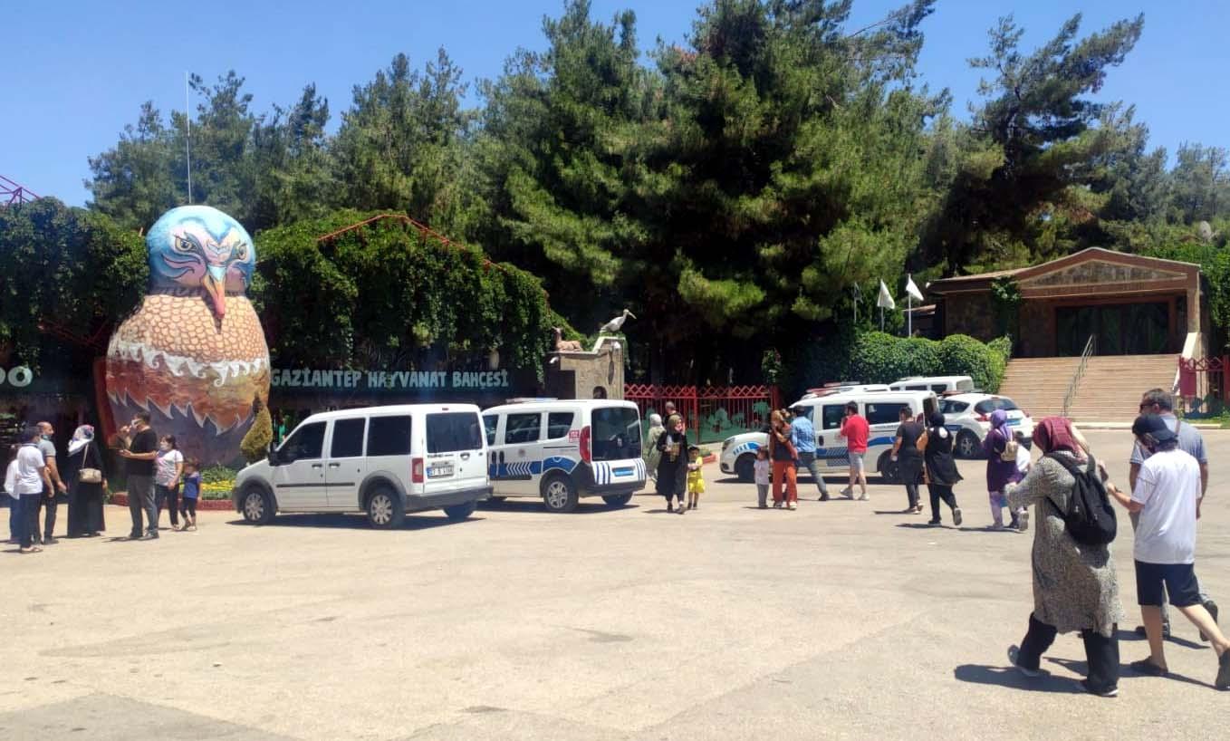 Bakıcısını yaralayıp kaçan aslan, paniğe neden oldu