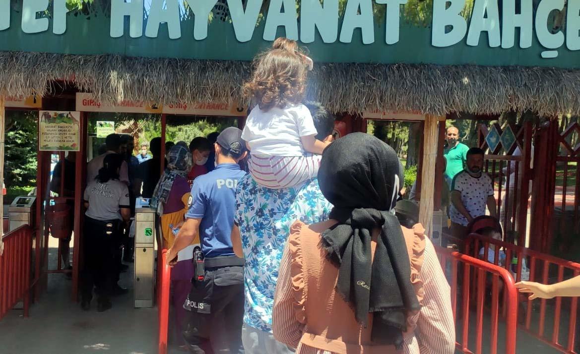 Bakıcısını yaralayıp kaçan aslan, paniğe neden oldu