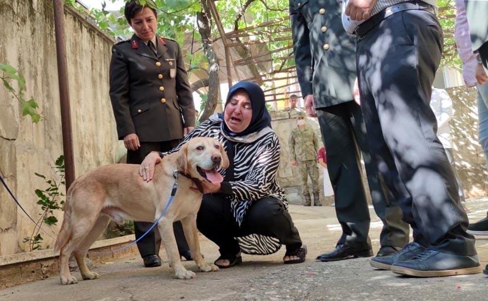Şehit onbaşının gazi köpeği ailesine sahiplendirildi