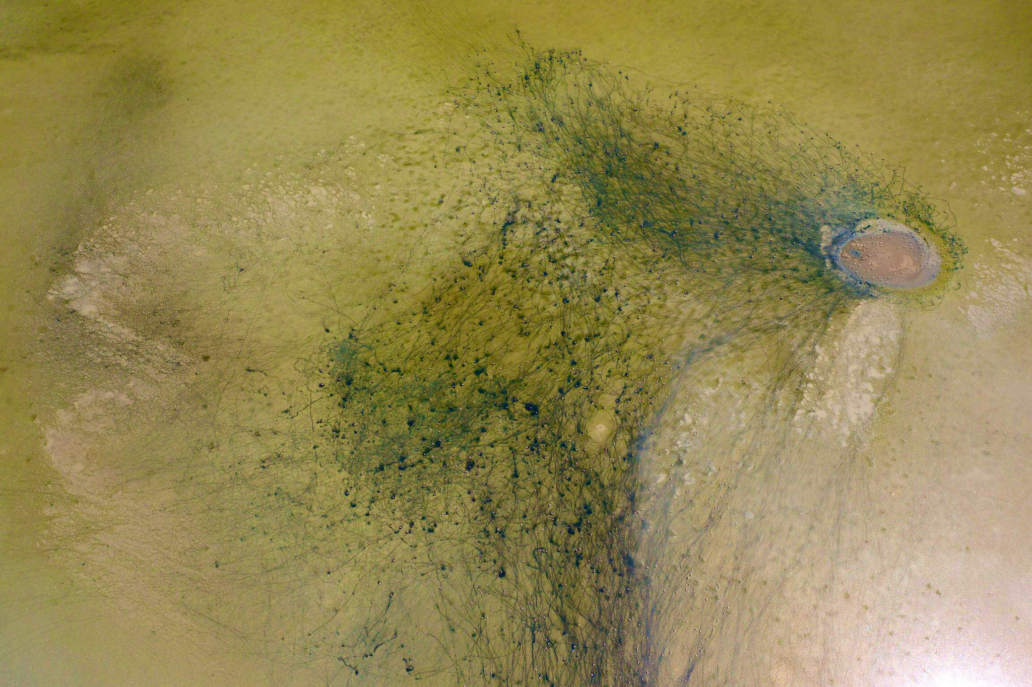 The vital veins of the dried Duden Lake appeared