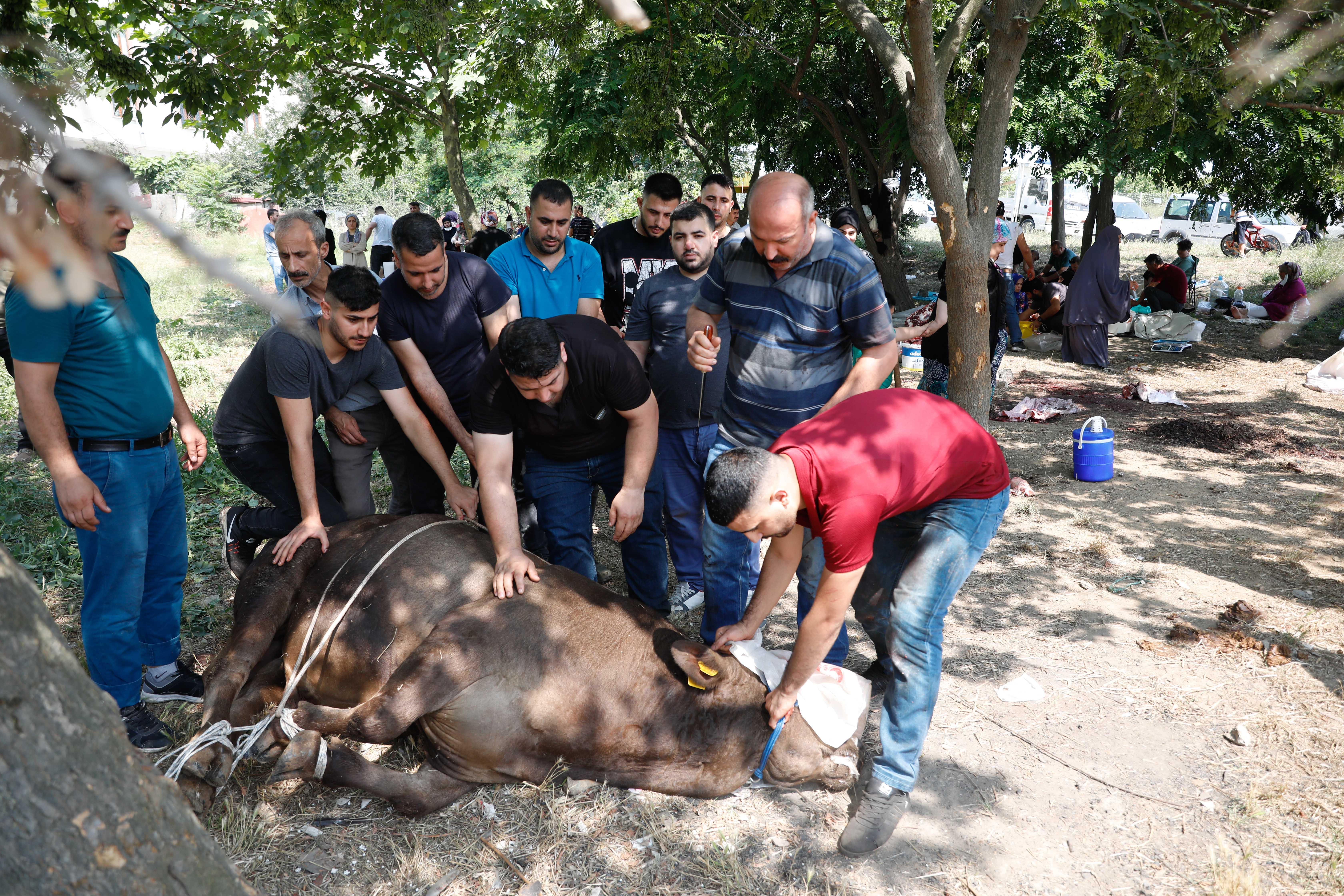 Bu alanda kesim yasak afişinin altında kaçak kesim