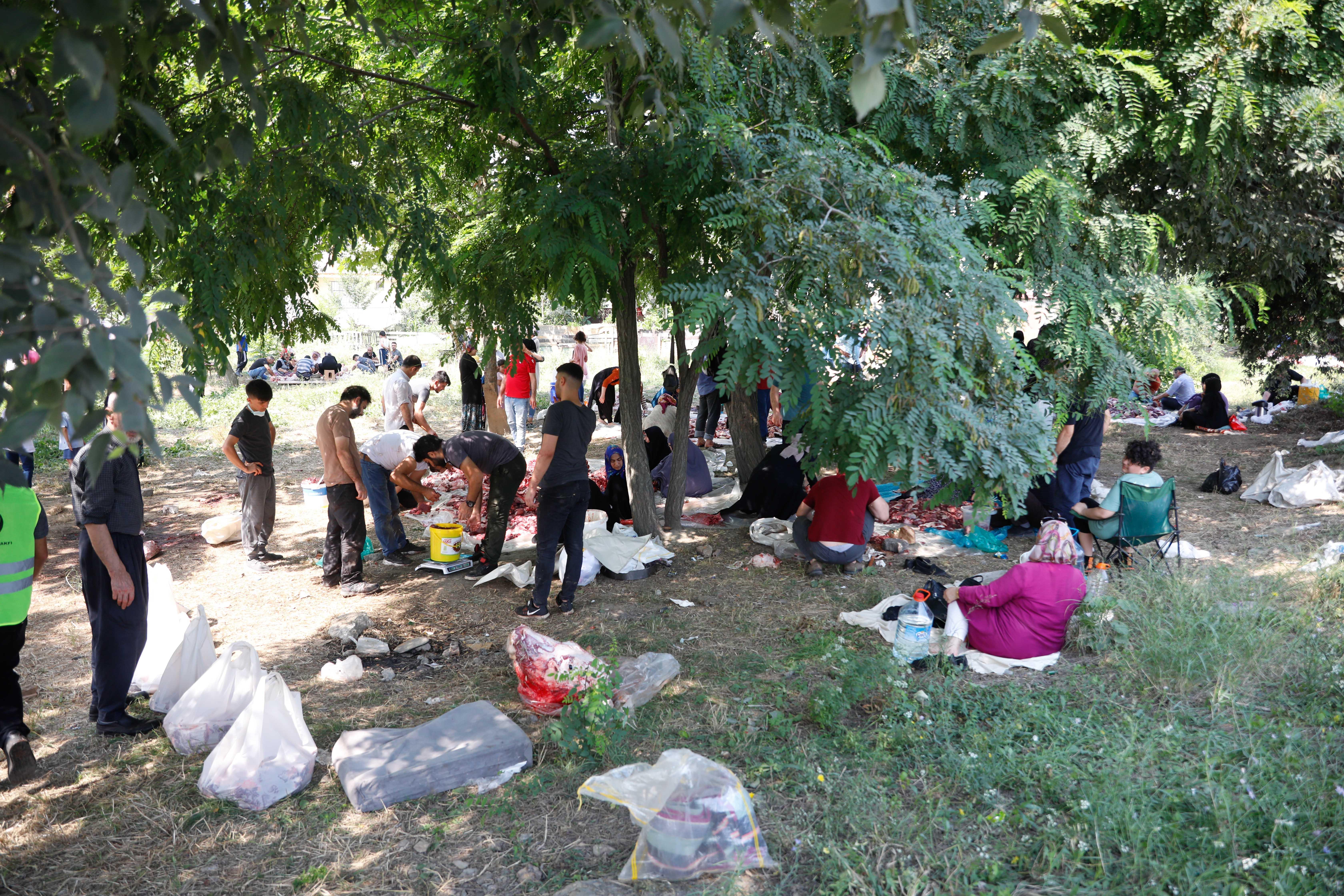Bu alanda kesim yasak afişinin altında kaçak kesim