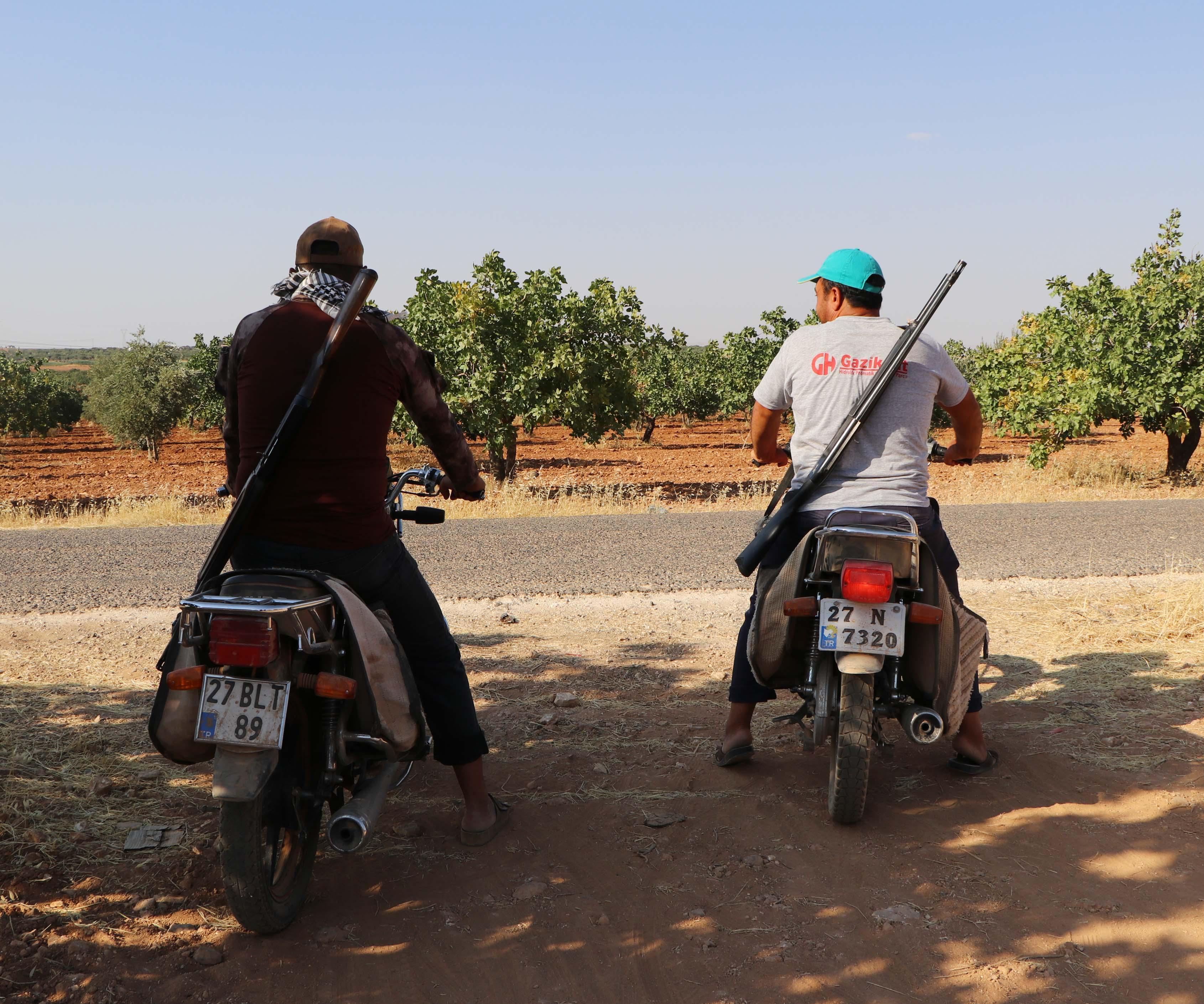 Elde tüfek, Antep fıstığı nöbeti