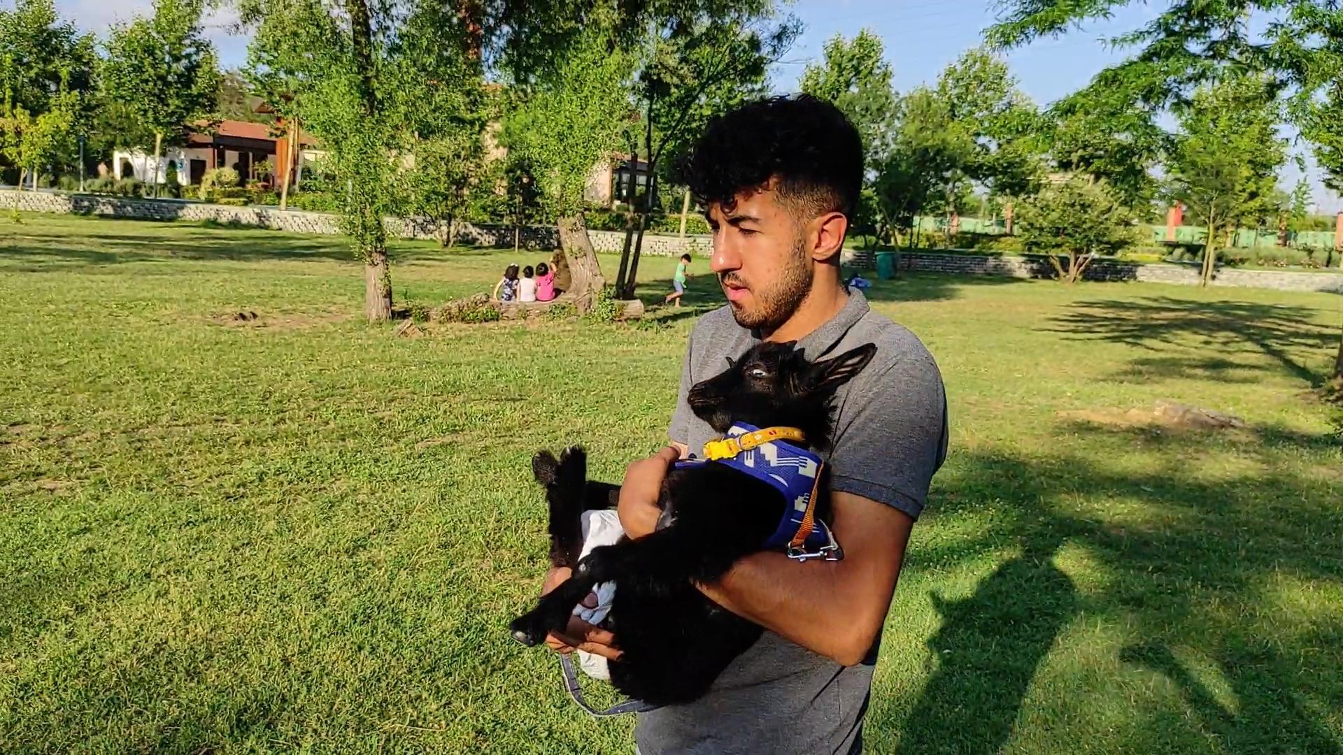 Sahiplendiği cüce keçiye bebek bezi giydirip gezdiriyor