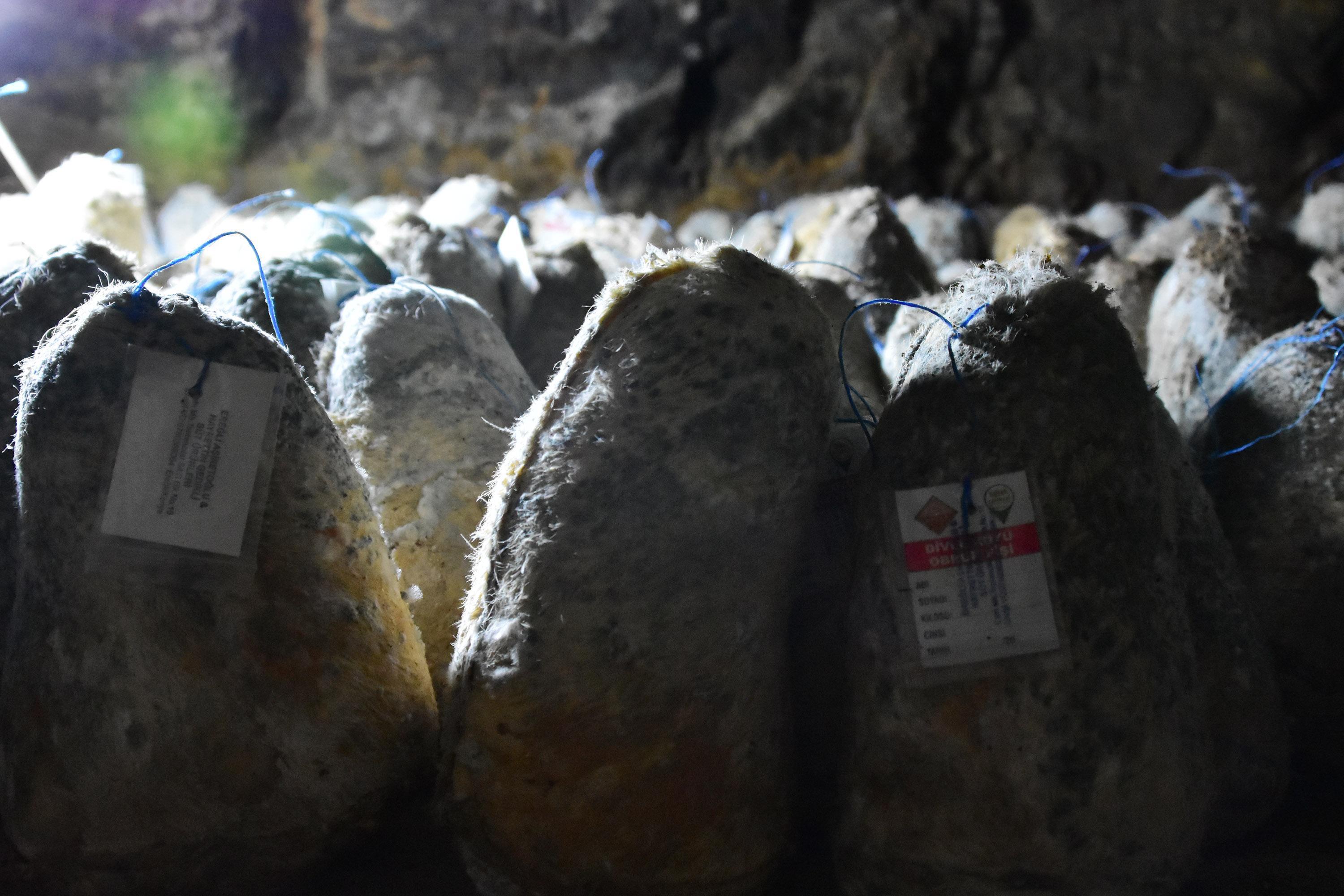 Divle obruk peyniri, 36 metre derinliğindeki mağarada olgunlaşmayı bekliyor