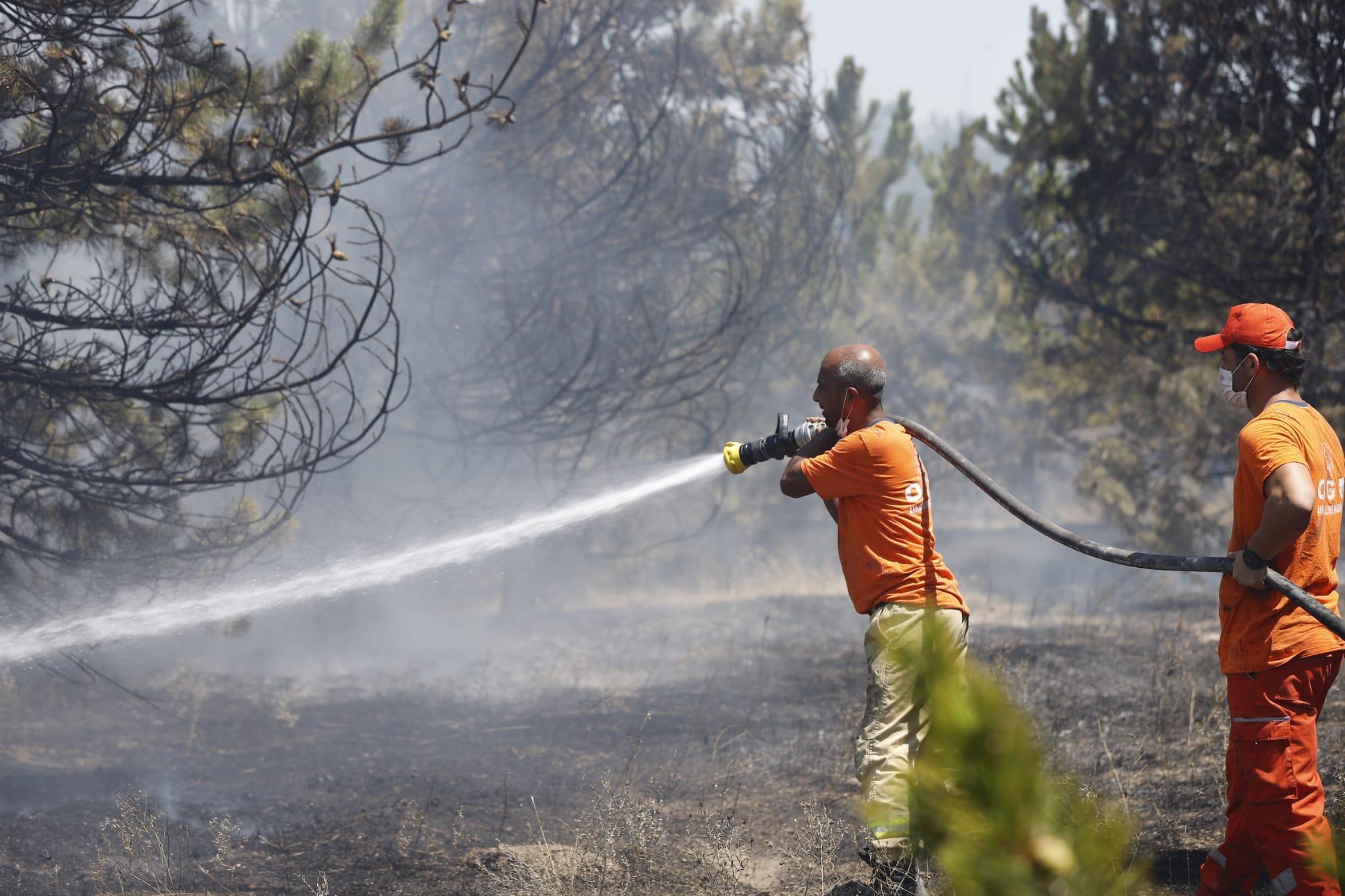 Ankarada, Atatürk Orman Çiftliği arazisindeki yangın söndürüldü