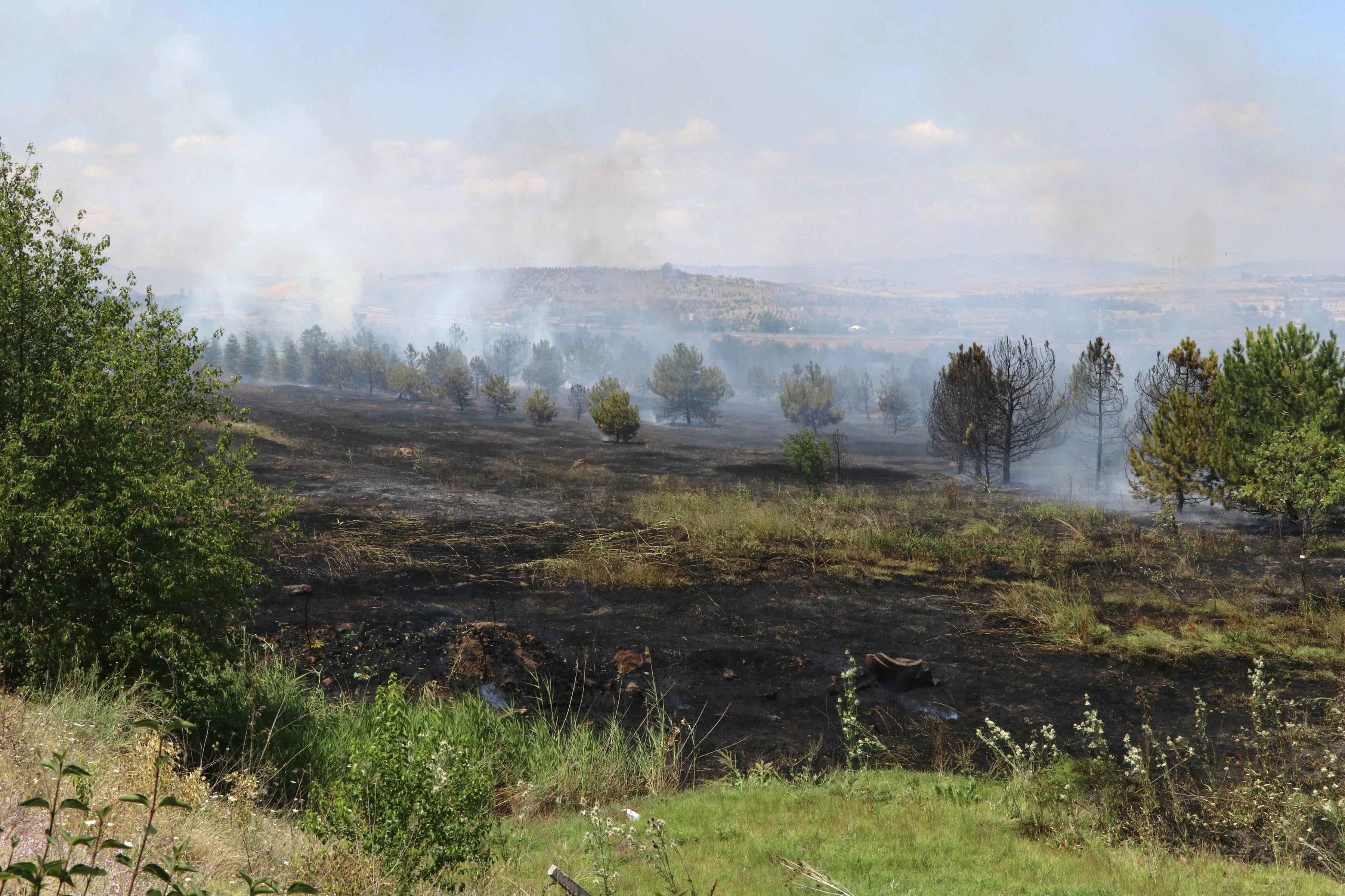 Ankarada, Atatürk Orman Çiftliği arazisindeki yangın söndürüldü