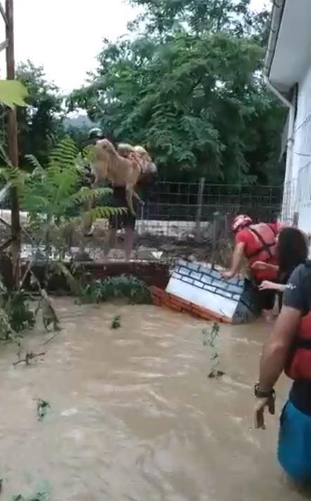 Rize ve Artvin’de selin izleri siliniyor, kayıp 3 kişi aranıyor