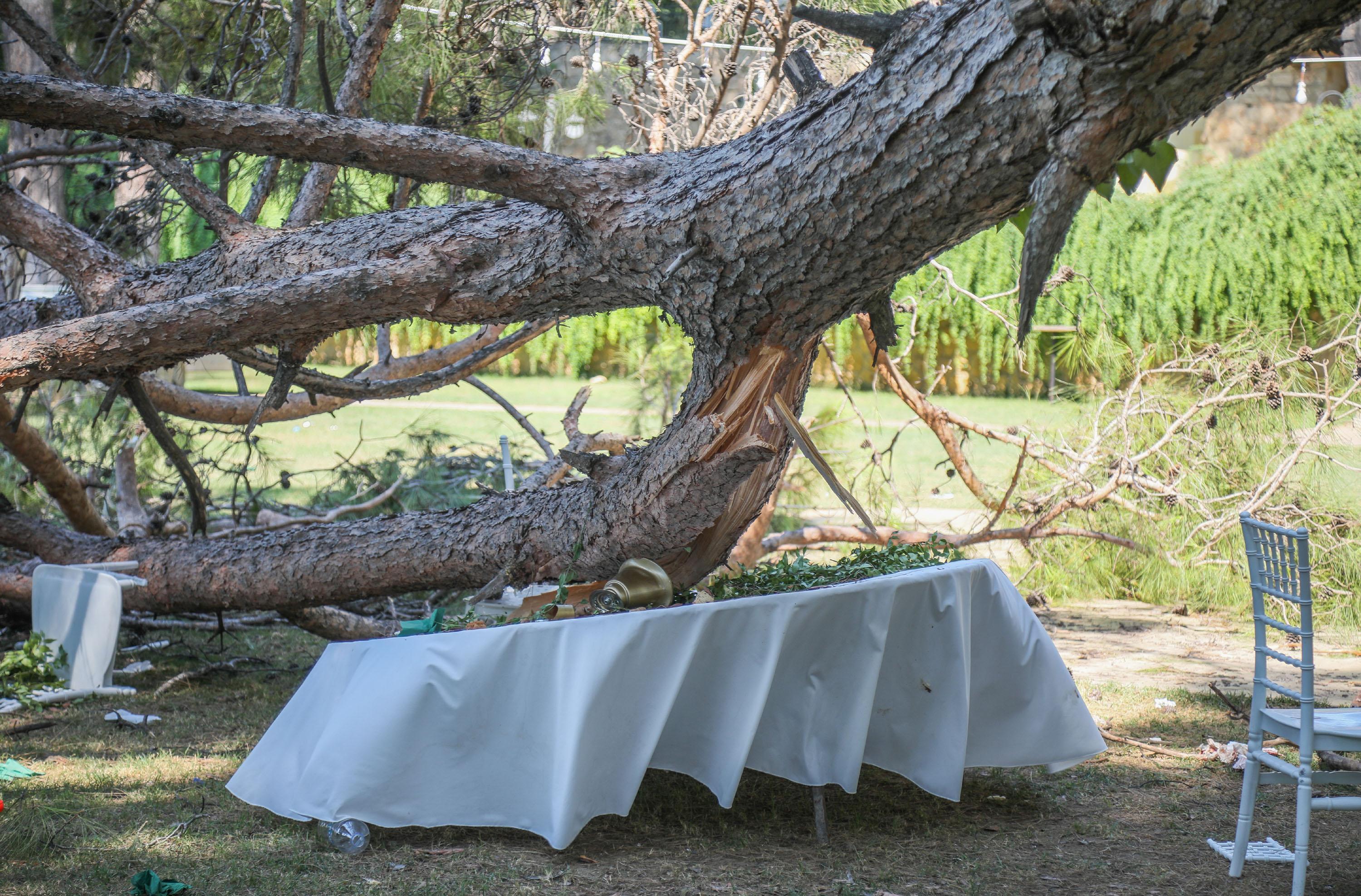 Kır düğününde 1 kişinin öldüğü restoranın işletmecisi: İhmal yok
