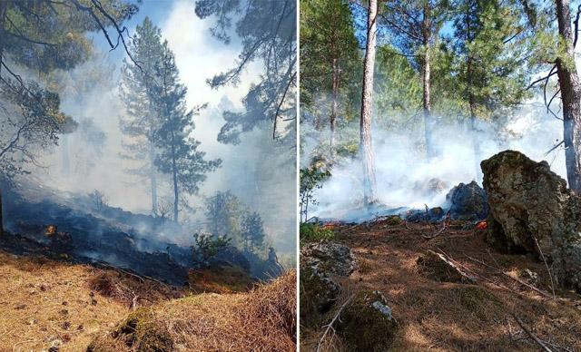 Adananın 2 ilçesinde korkutan orman yangını Ekipler seferber oldu