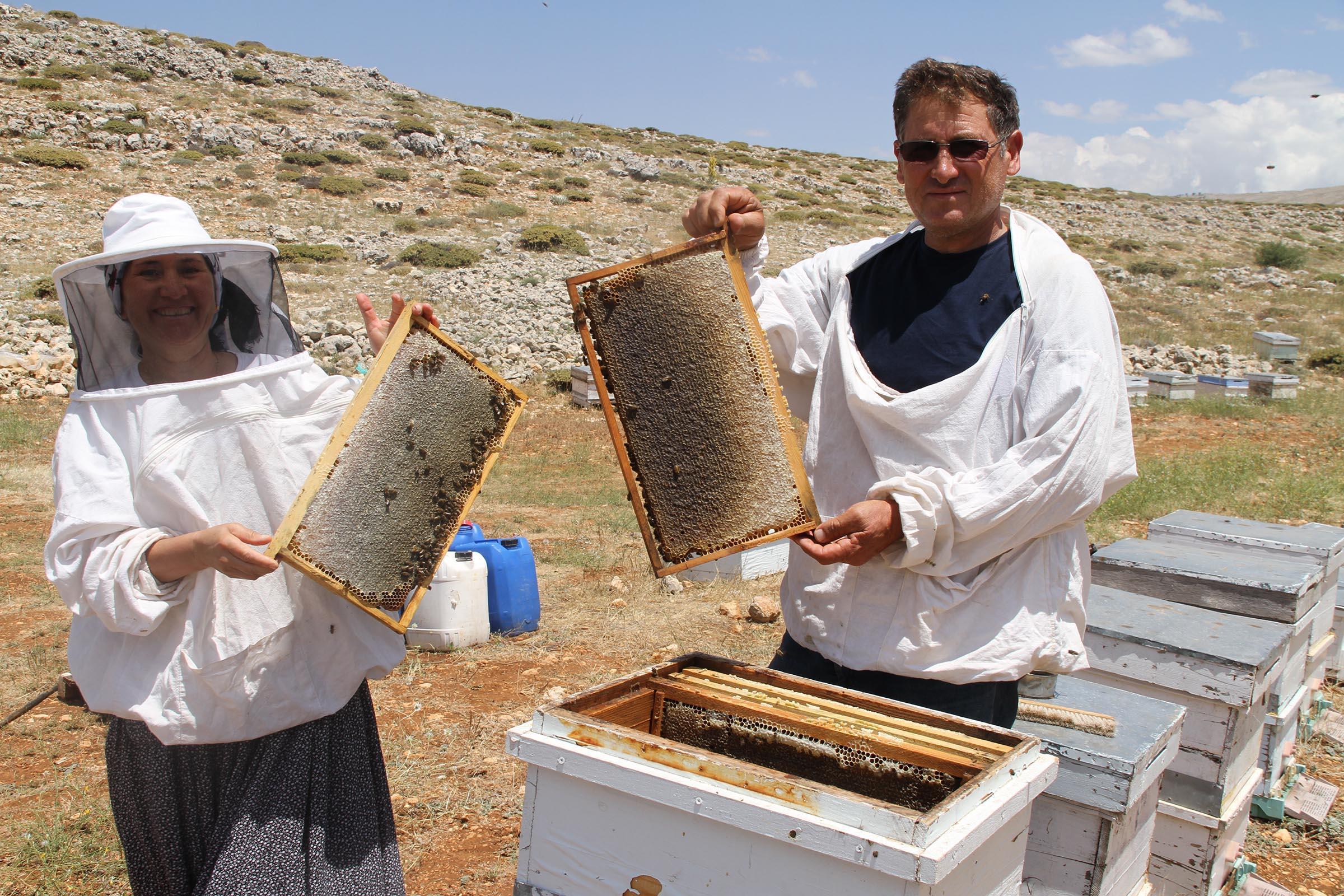 2 bin rakımda bal sağımı