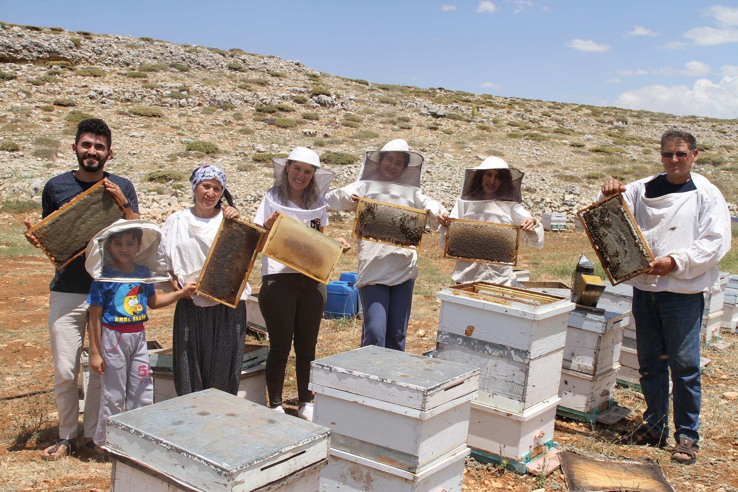 2 bin rakımda bal sağımı