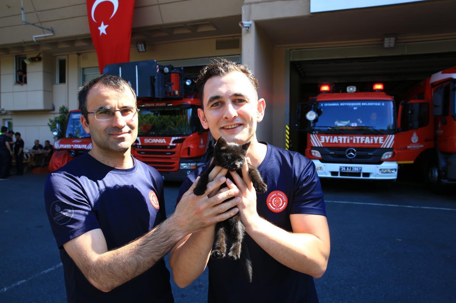 İguanadan kediye, İstanbul İtfaiyesi son 6 ayda 7 bin 821 hayvan kurtardı