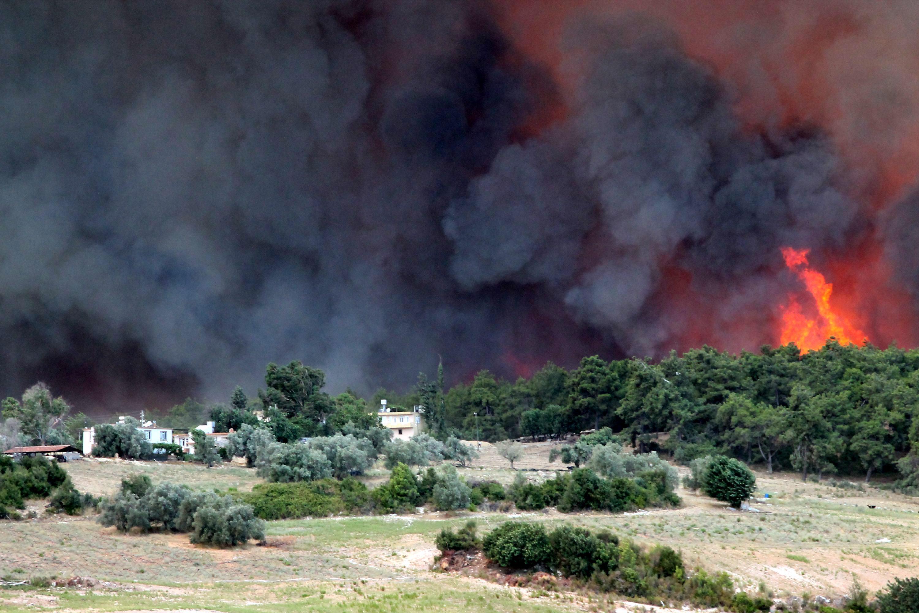 Wildfire at four different points in Manavgat
