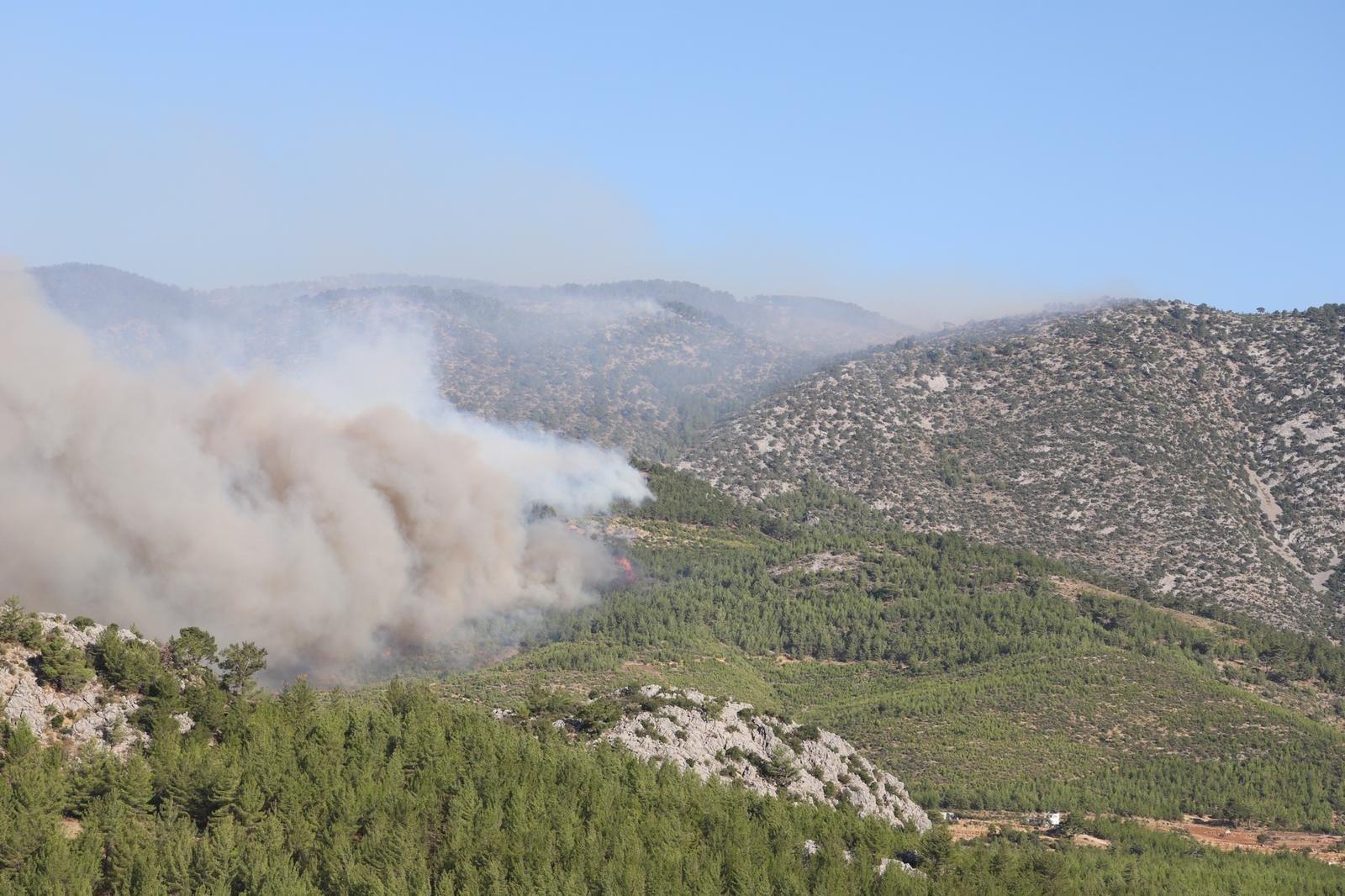 Mersindeki orman yangını ilçe merkezine yaklaştı