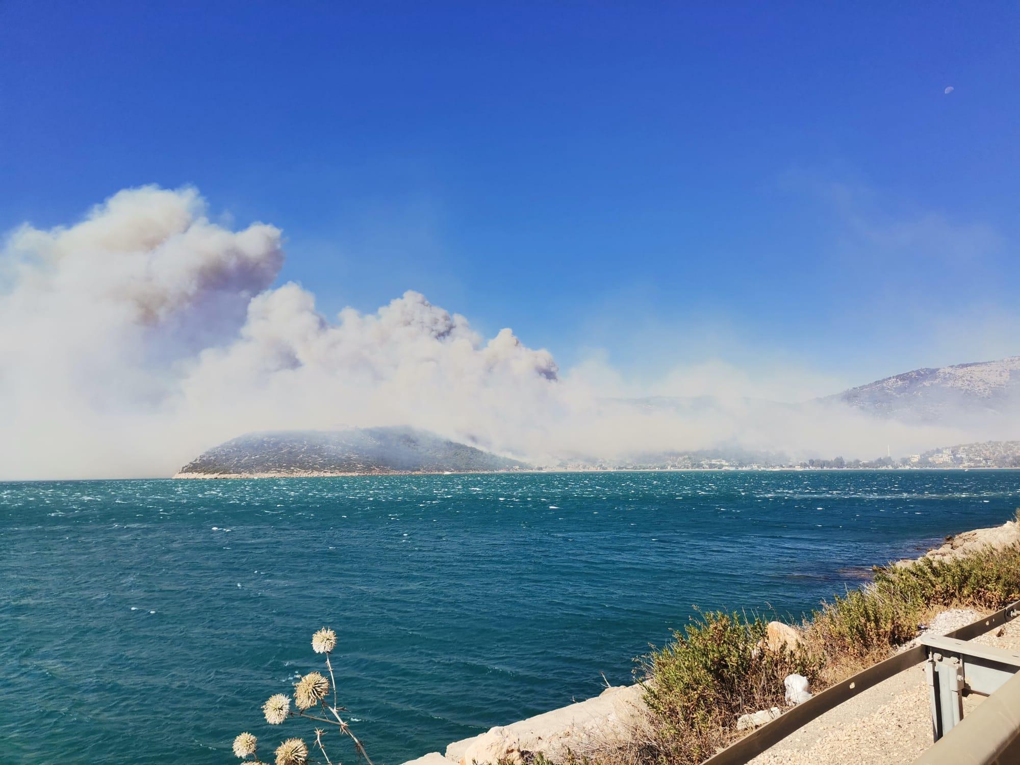Mersindeki orman yangını ilçe merkezine yaklaştı