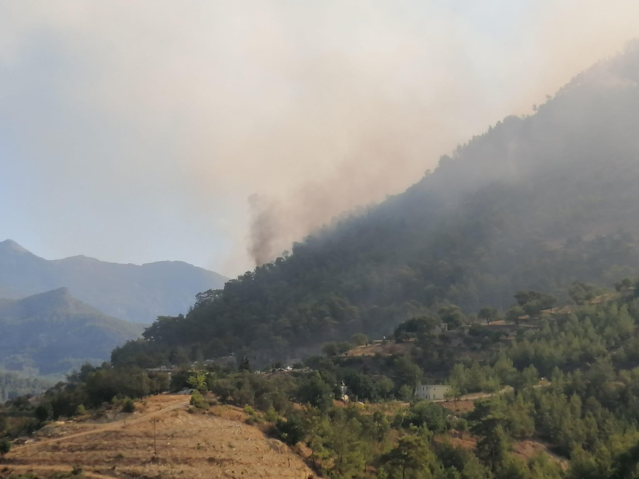 Gazipaşa’da 4 farklı noktada orman yangını