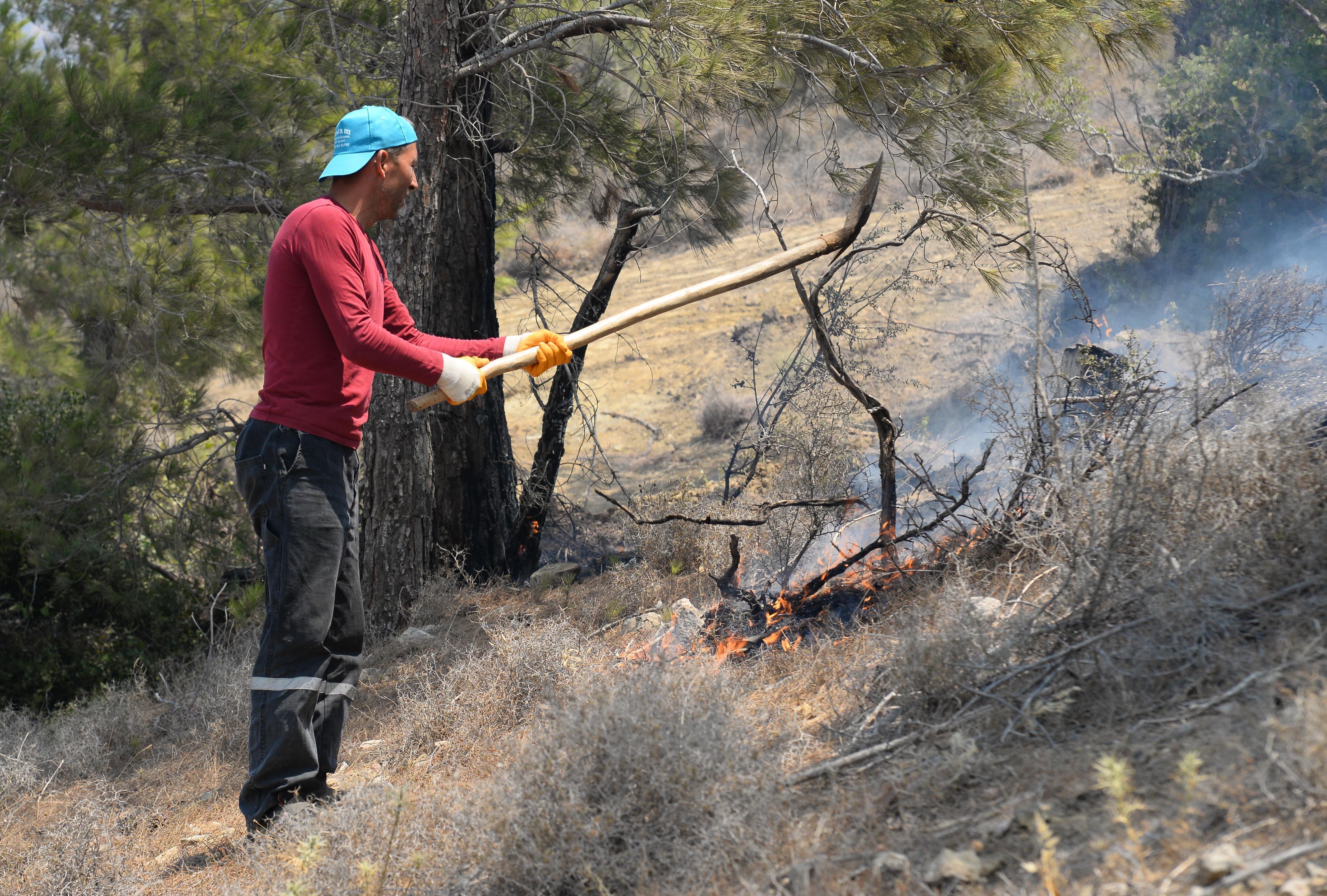 Mersinde iki ilçedeki yangınlar devam ediyor; havadan müdahale yeniden başladı