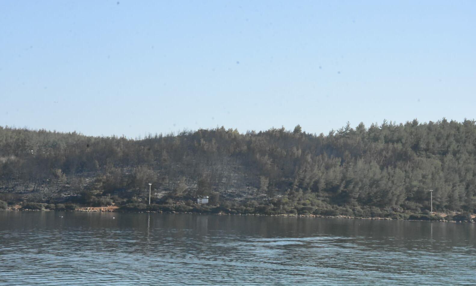 Milas ve Bodrumdaki orman yangını kontrol altında; yaklaşık 80 hektar alan zarar gördü