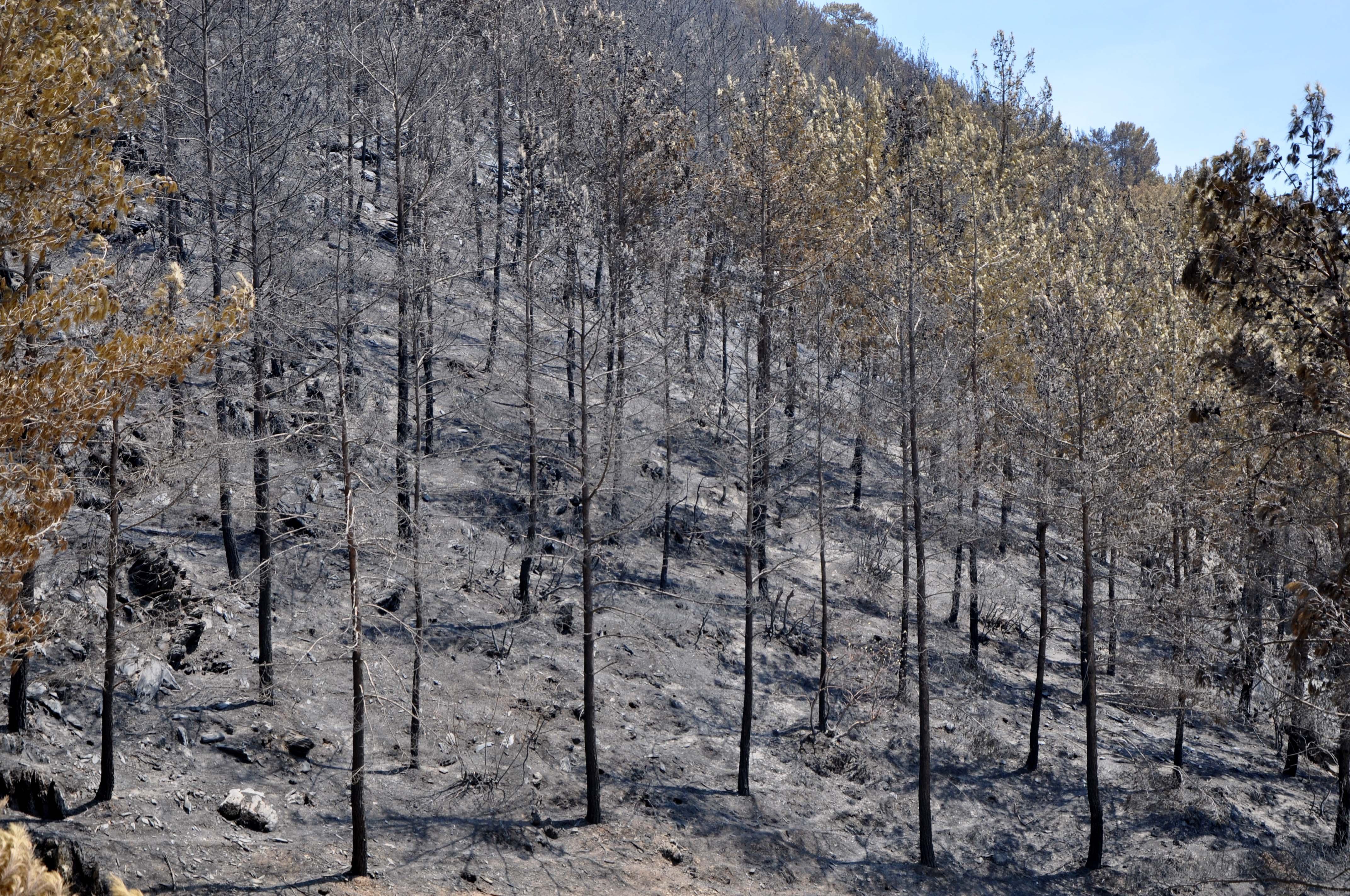 Manavgattaki büyük yangın 4üncü gününde; 2 orman işçisi yaşamını yitirdi
