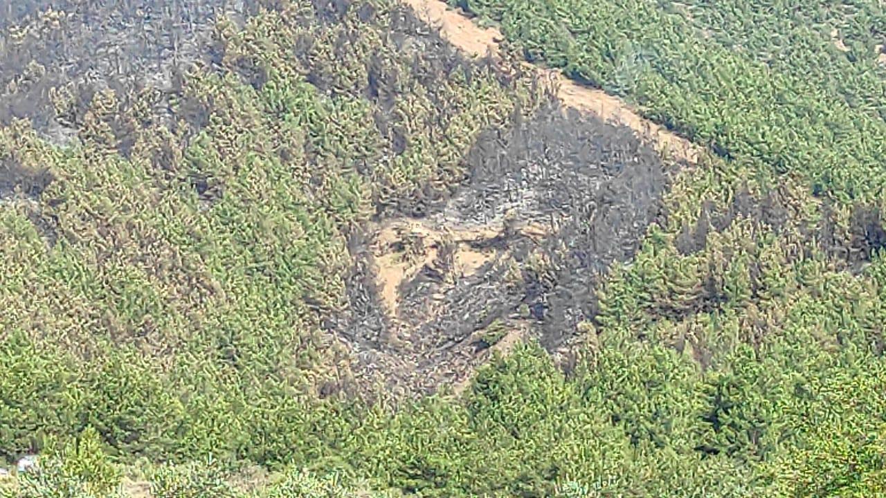 Fethiyede alevler, 5 hektar ormanlık alanı küle çevirdi