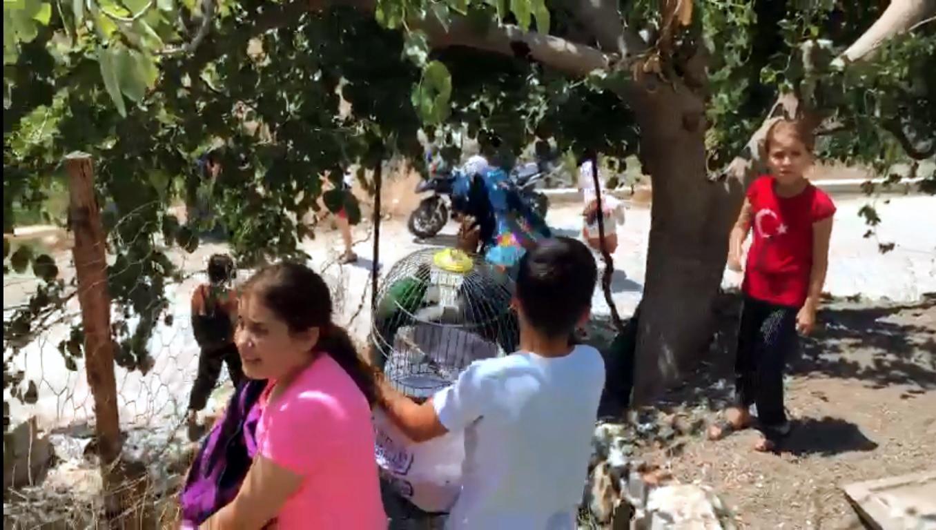 Hatayda orman yangını
