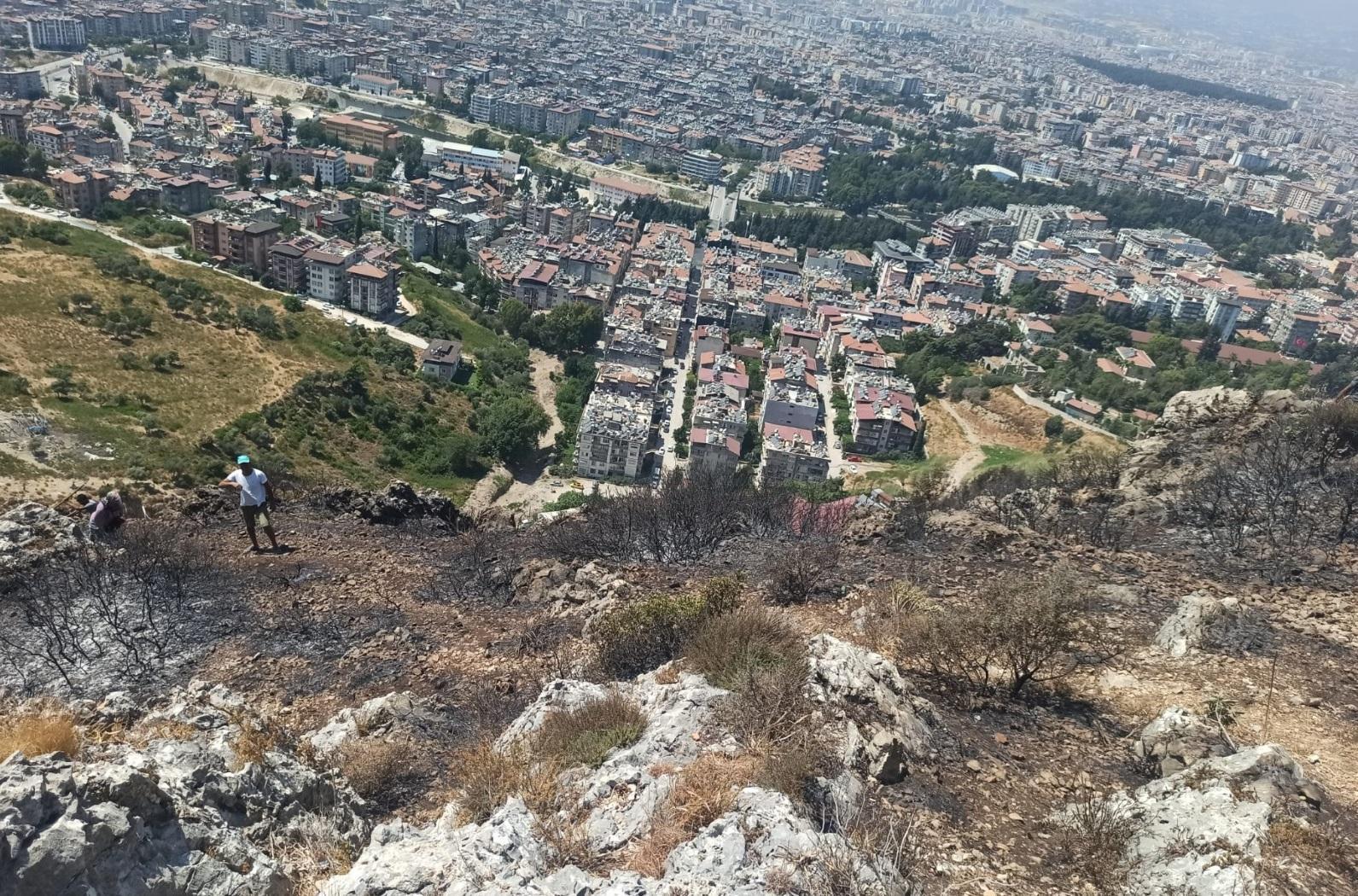 Hatayda orman yangını