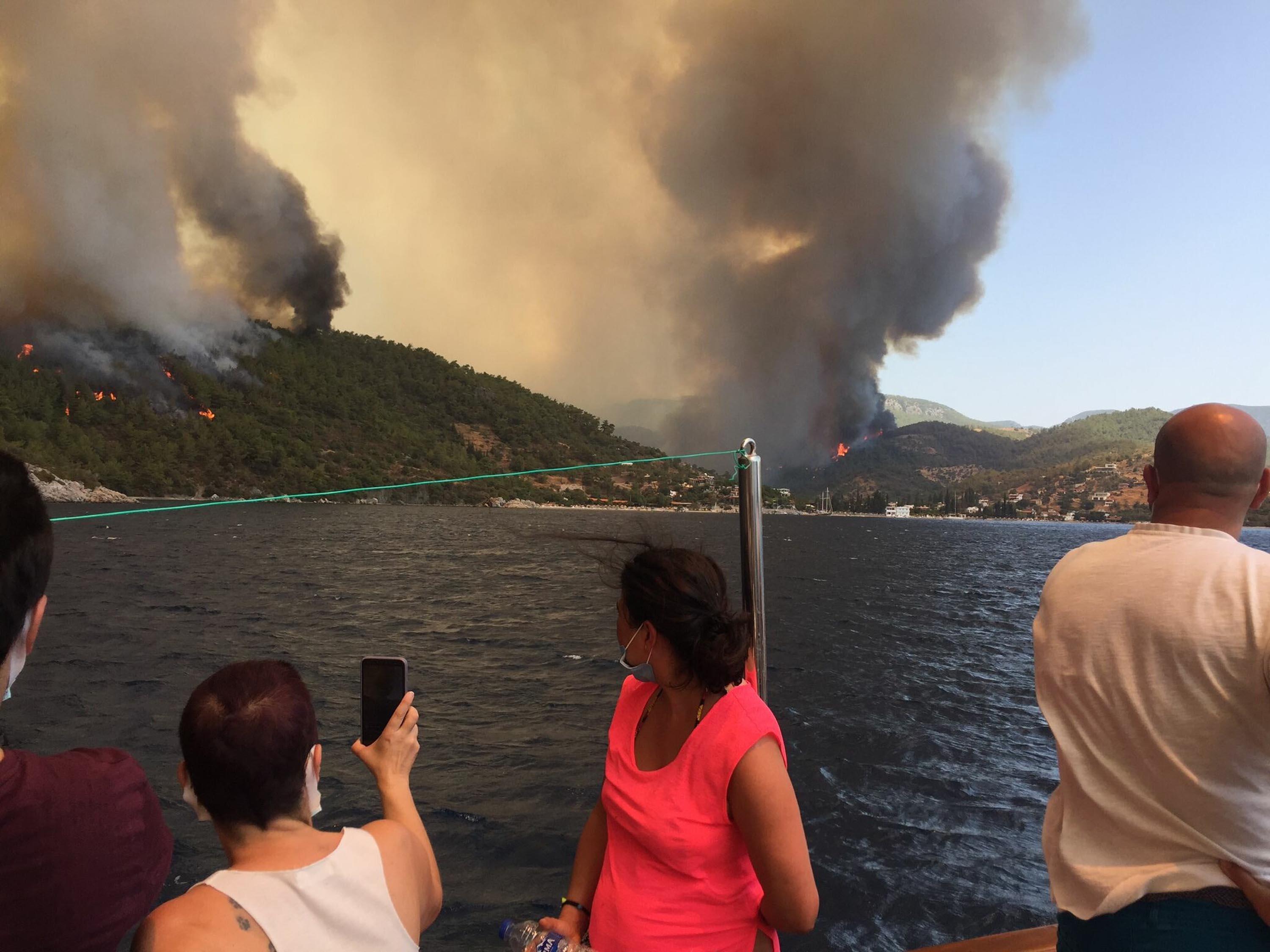 Milastaki yangında rüzgarla yön değiştiren alevler Bodrumun Mazı Mahallesini yaktı