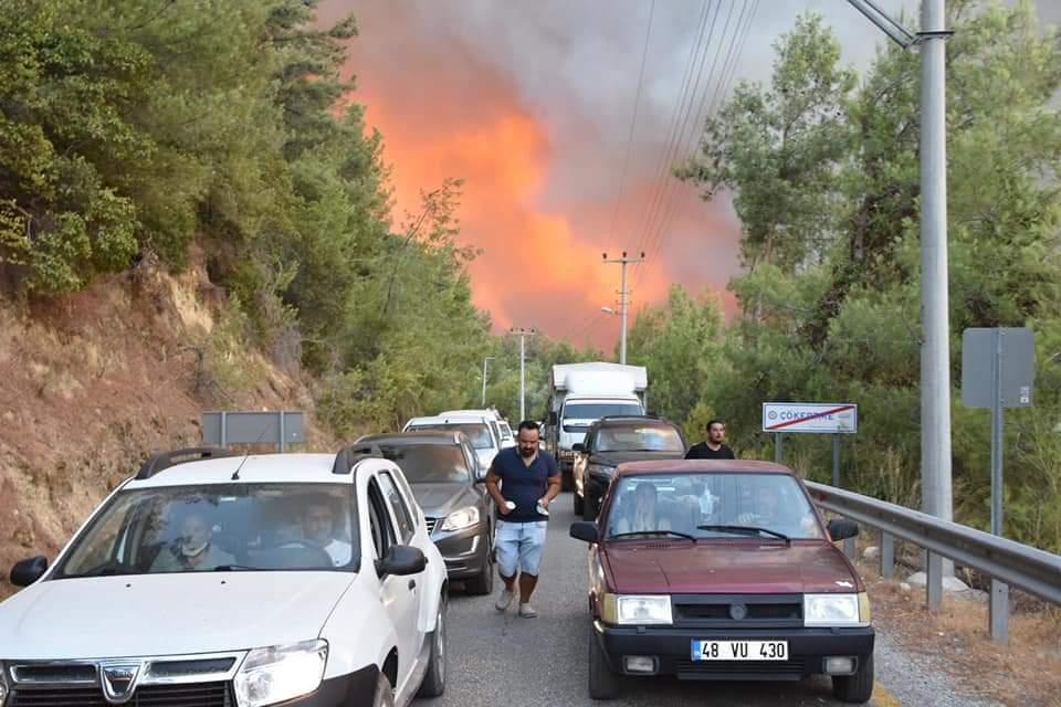 Milastaki yangında rüzgarla yön değiştiren alevler Bodrumun Mazı Mahallesini yaktı
