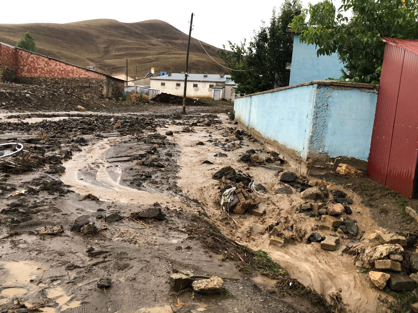 Bayburtta sağanak sele neden oldu; 11 hayvan öldü