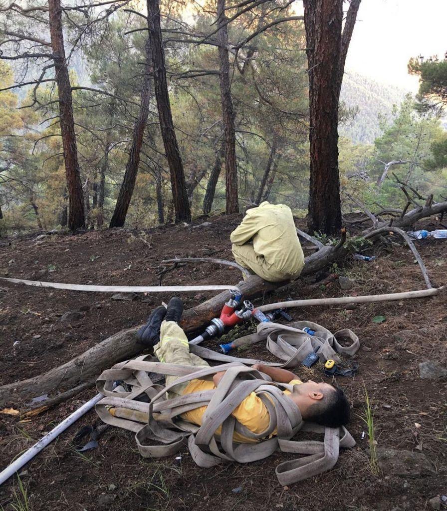 Orman Genel Müdürü Karacabey: 134 yangını kontrol atına aldık, 10unda çalışmalar sürüyor