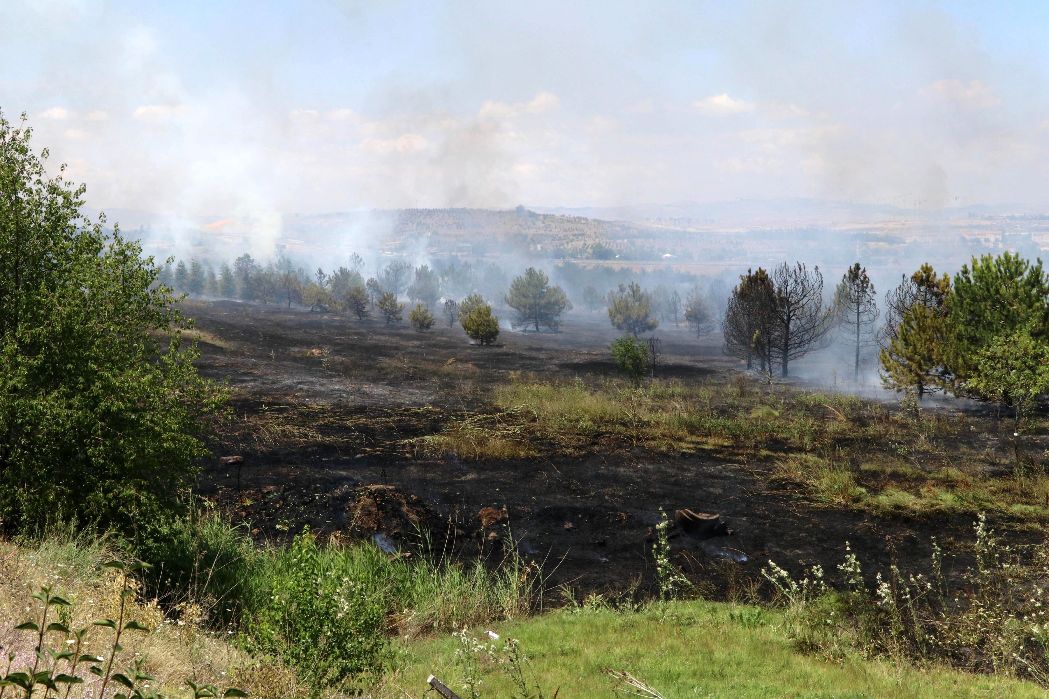 Atatürk Orman Çiftliğindeki yangın soruşturmasında jet iddianame
