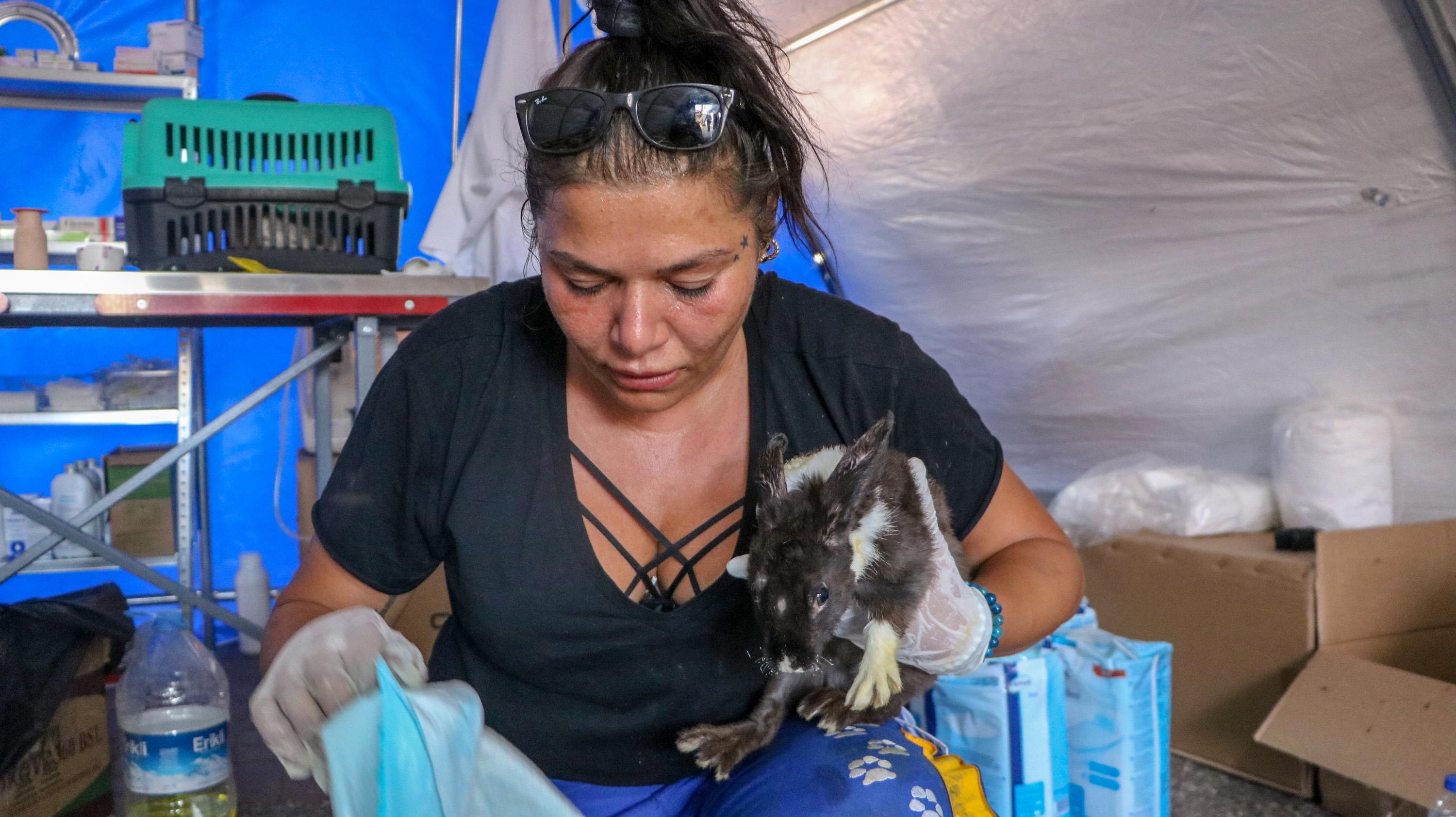 Turkey’s first field hospital for animals