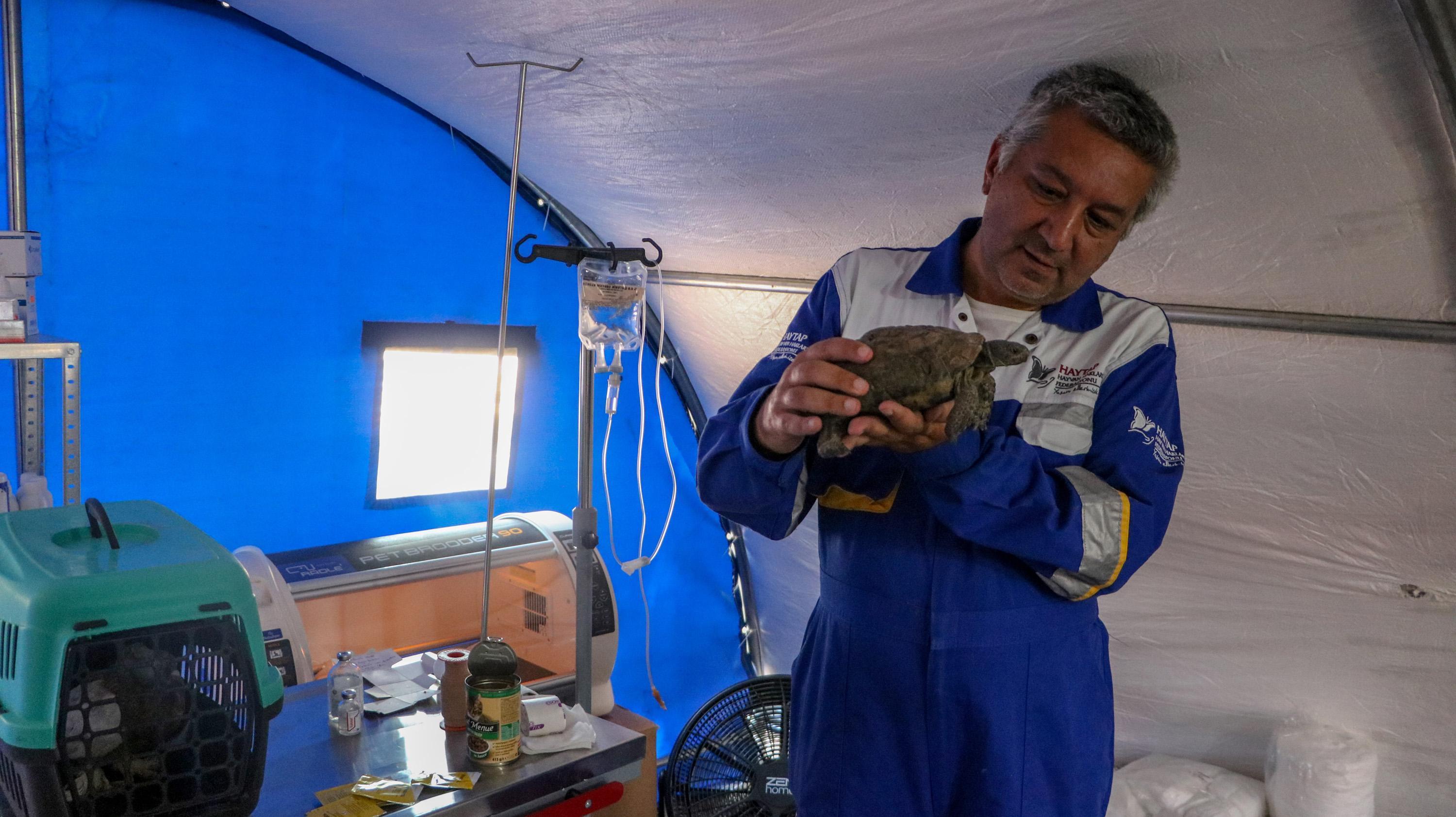 Turkey’s first field hospital for animals