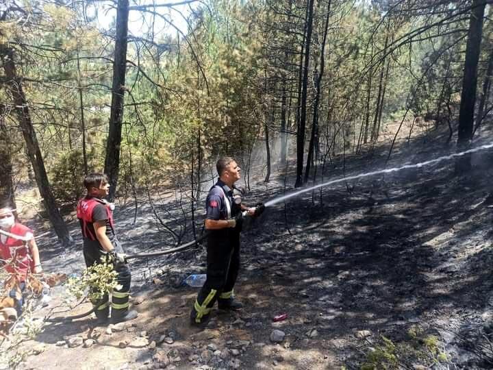 Uşakta 2 noktada orman yangını; 8 hektar alan yandı