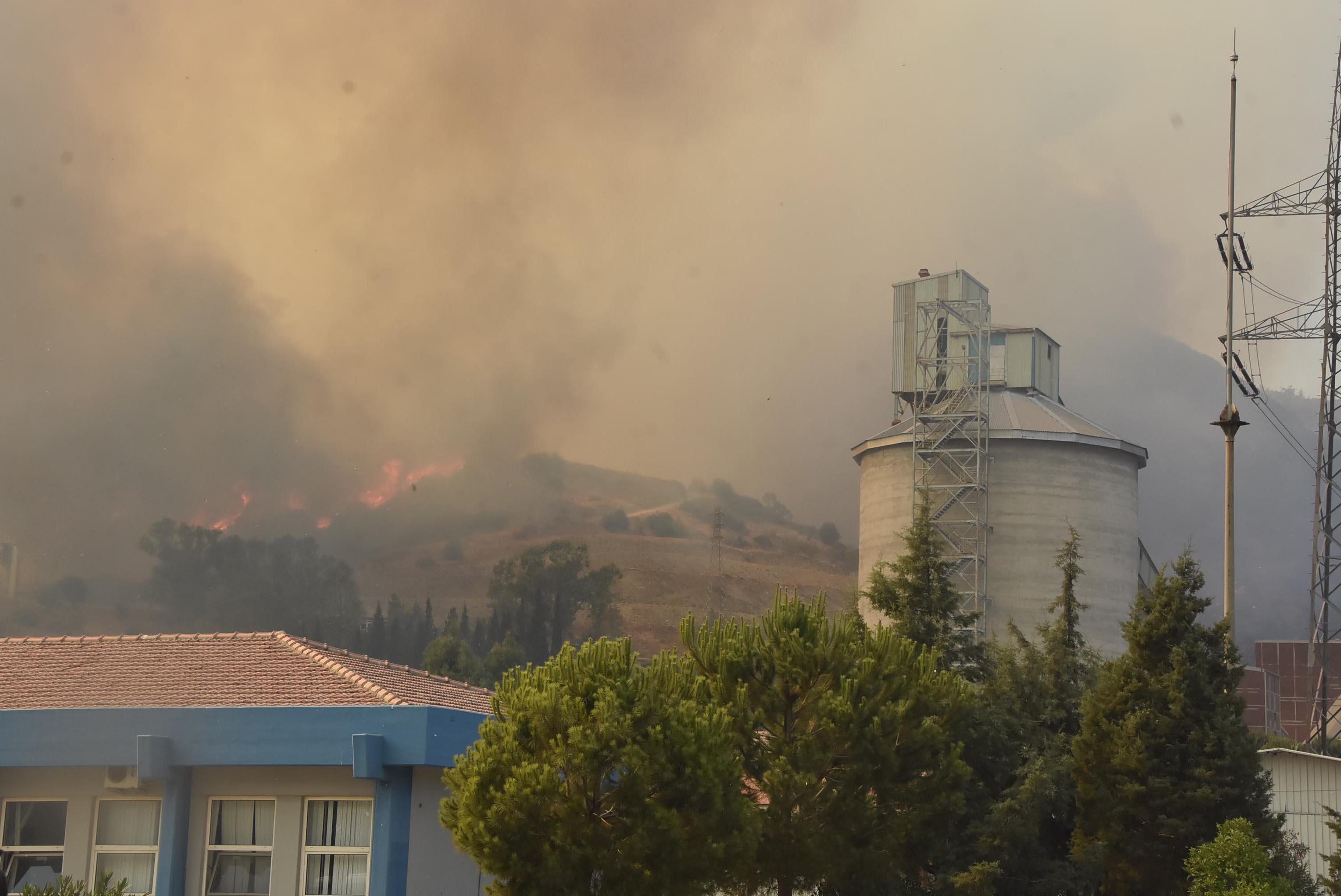 Milas yangınında 5inci gün; termik santral bölgesine havadan müdahale