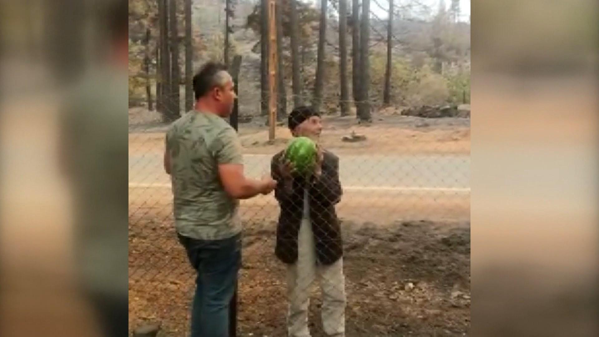 93 years old wildfire victim offered watermelons to the forest workers